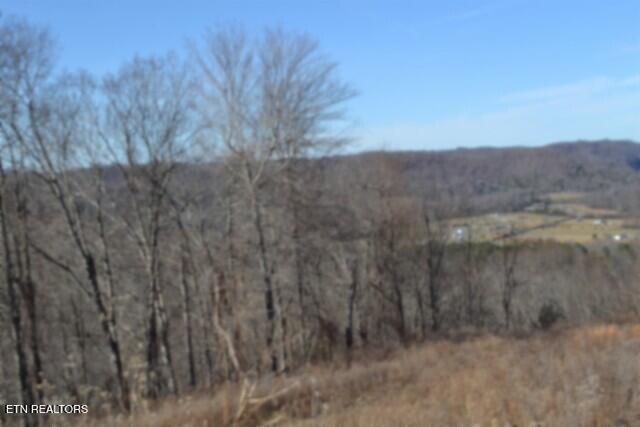 5AC Schelley Road Gainesboro TN 38562