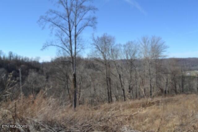 5AC Schelley Road Gainesboro TN 38562