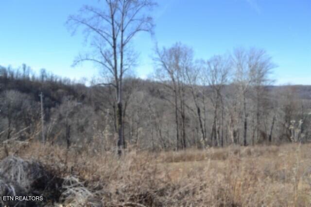 5AC Schelley Road Gainesboro TN 38562