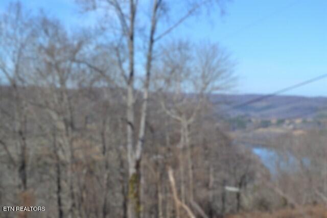 5AC Schelley Road Gainesboro TN 38562