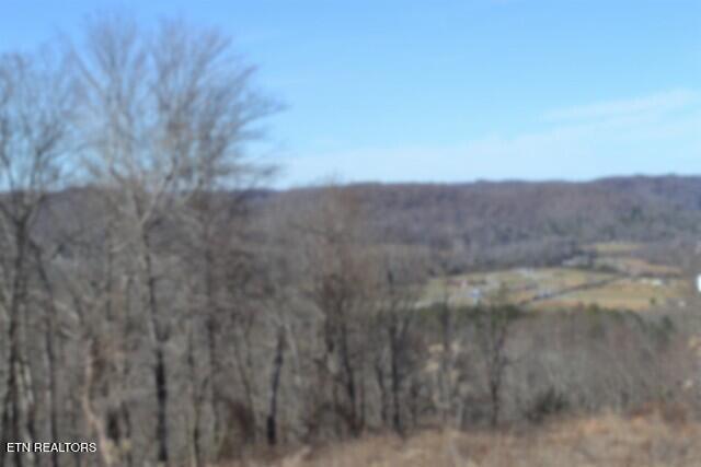 5AC Schelley Road Gainesboro TN 38562