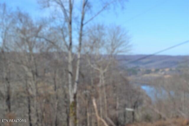 5AC Schelley Road Gainesboro TN 38562