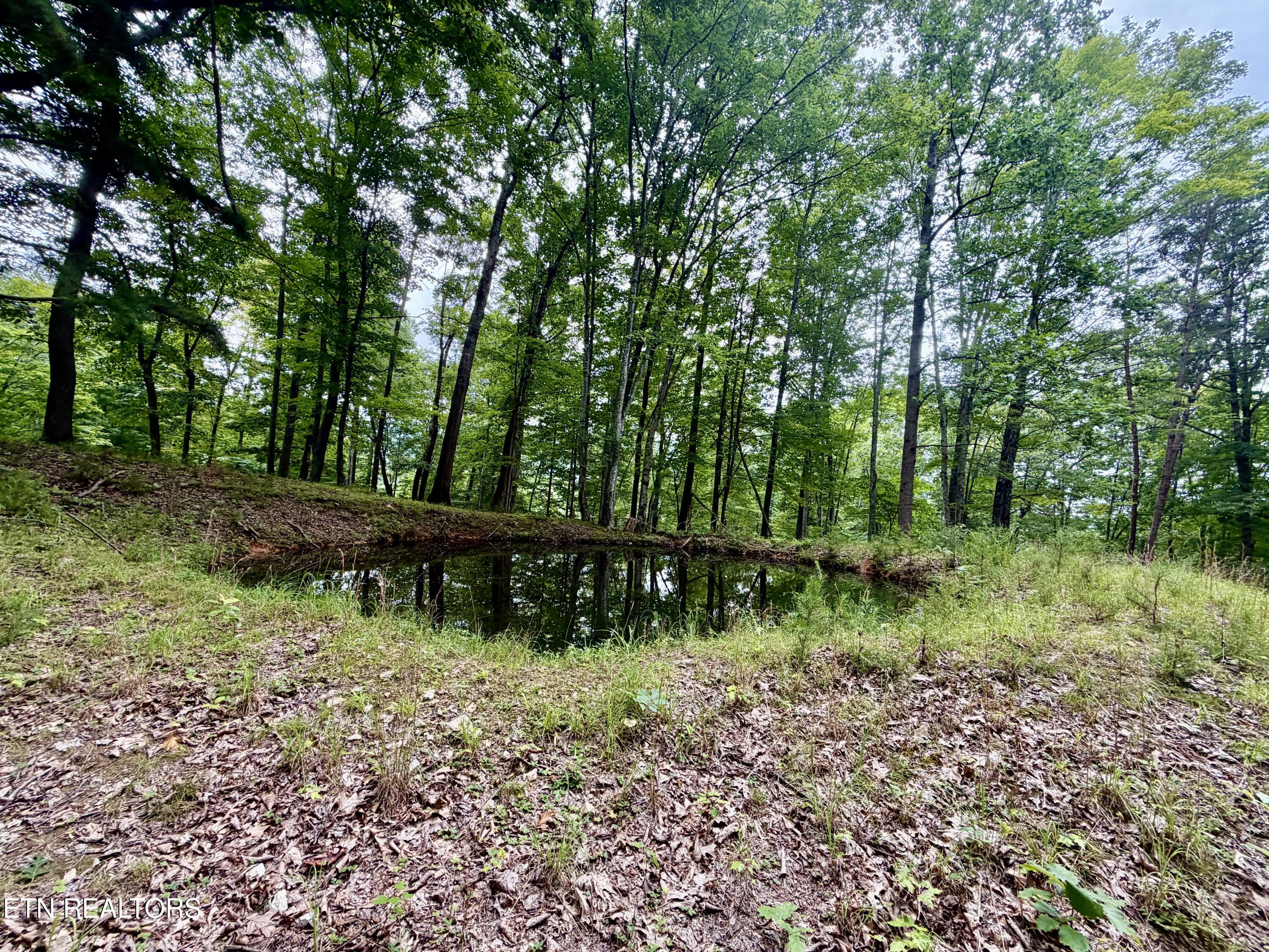 1545 Estes Road Tazewell TN 37879