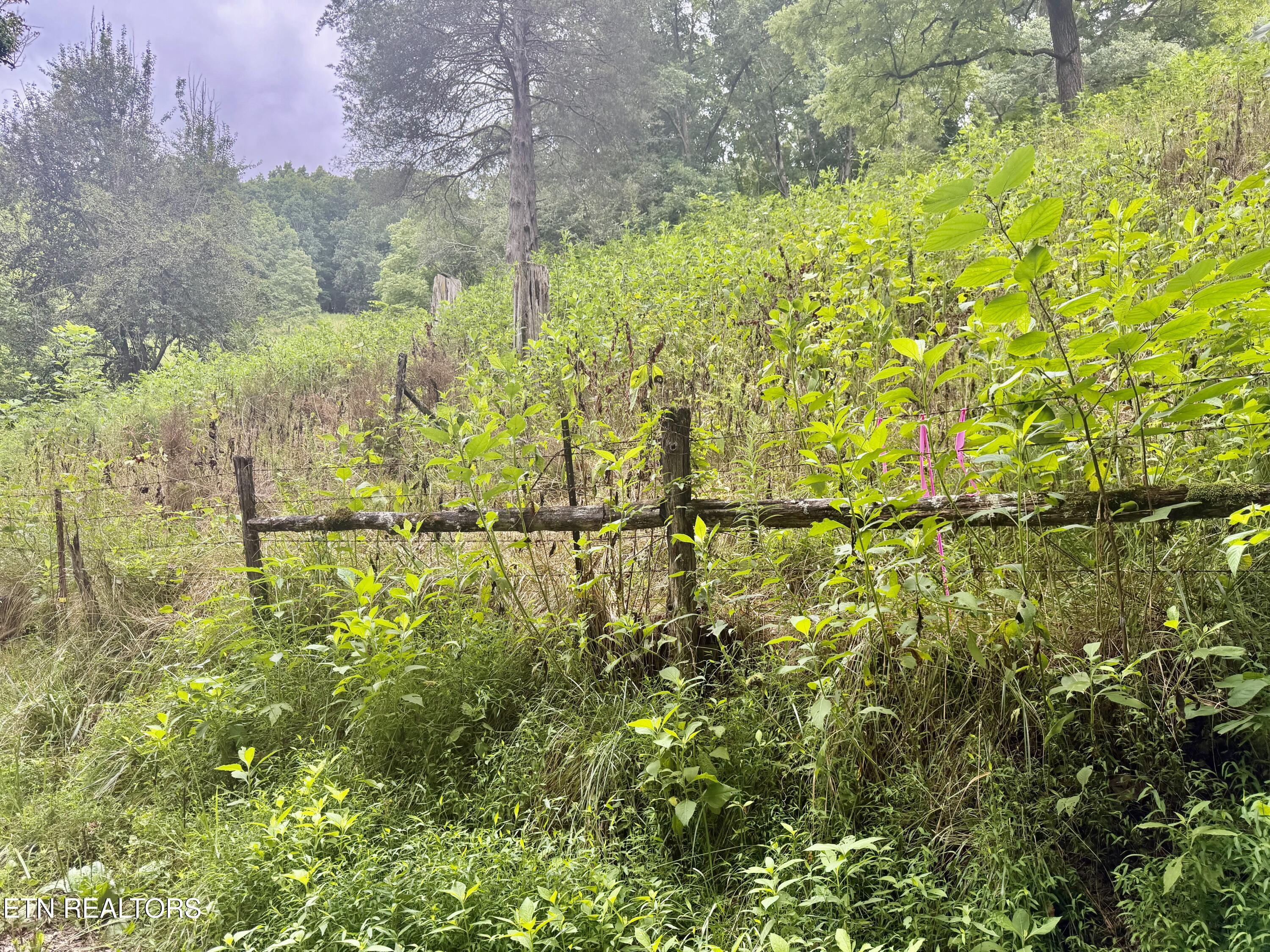 1545 Estes Road Tazewell TN 37879