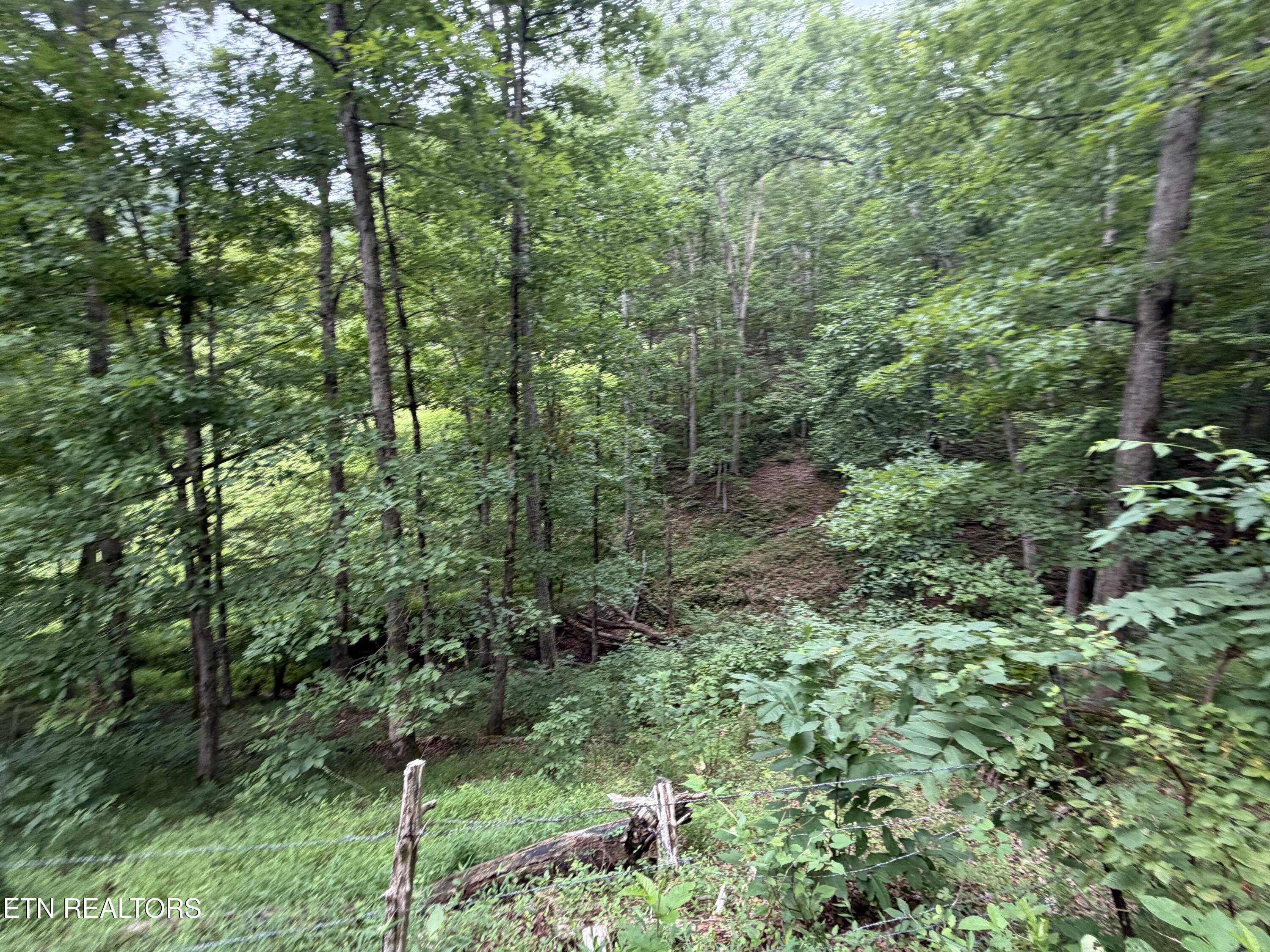 1545 Estes Road Tazewell TN 37879
