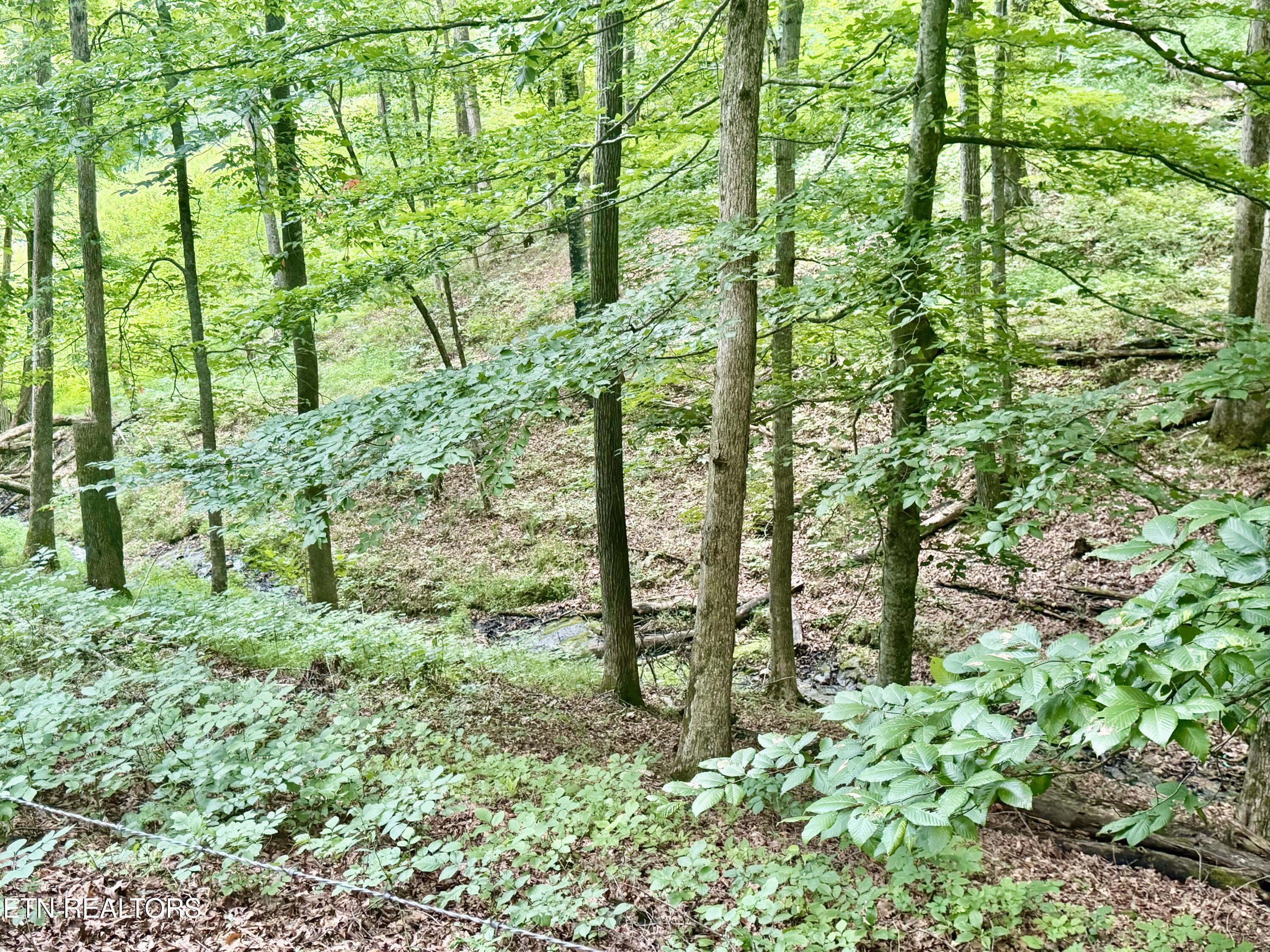 1545 Estes Road Tazewell TN 37879
