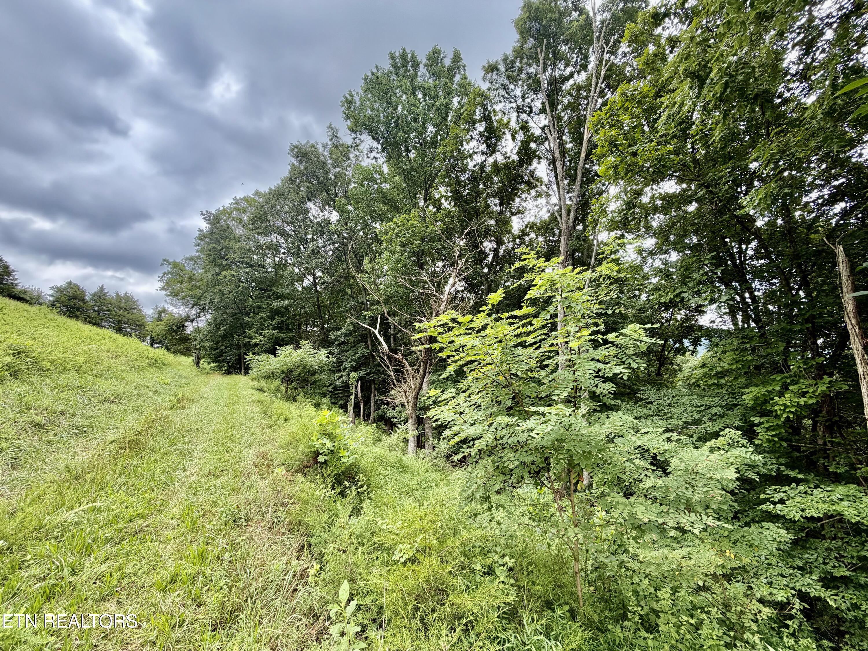 1545 Estes Road Tazewell TN 37879