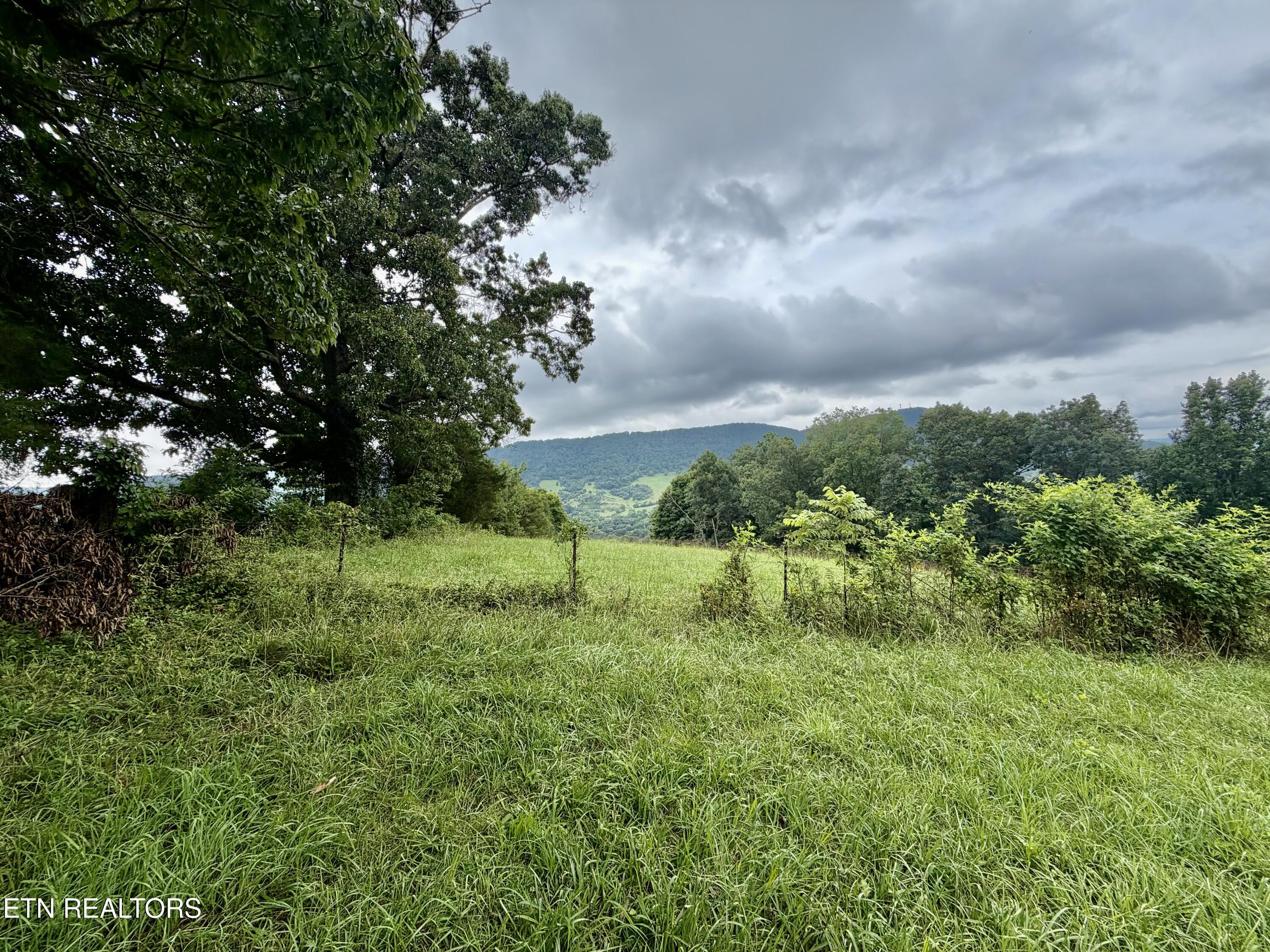 1545 Estes Road Tazewell TN 37879