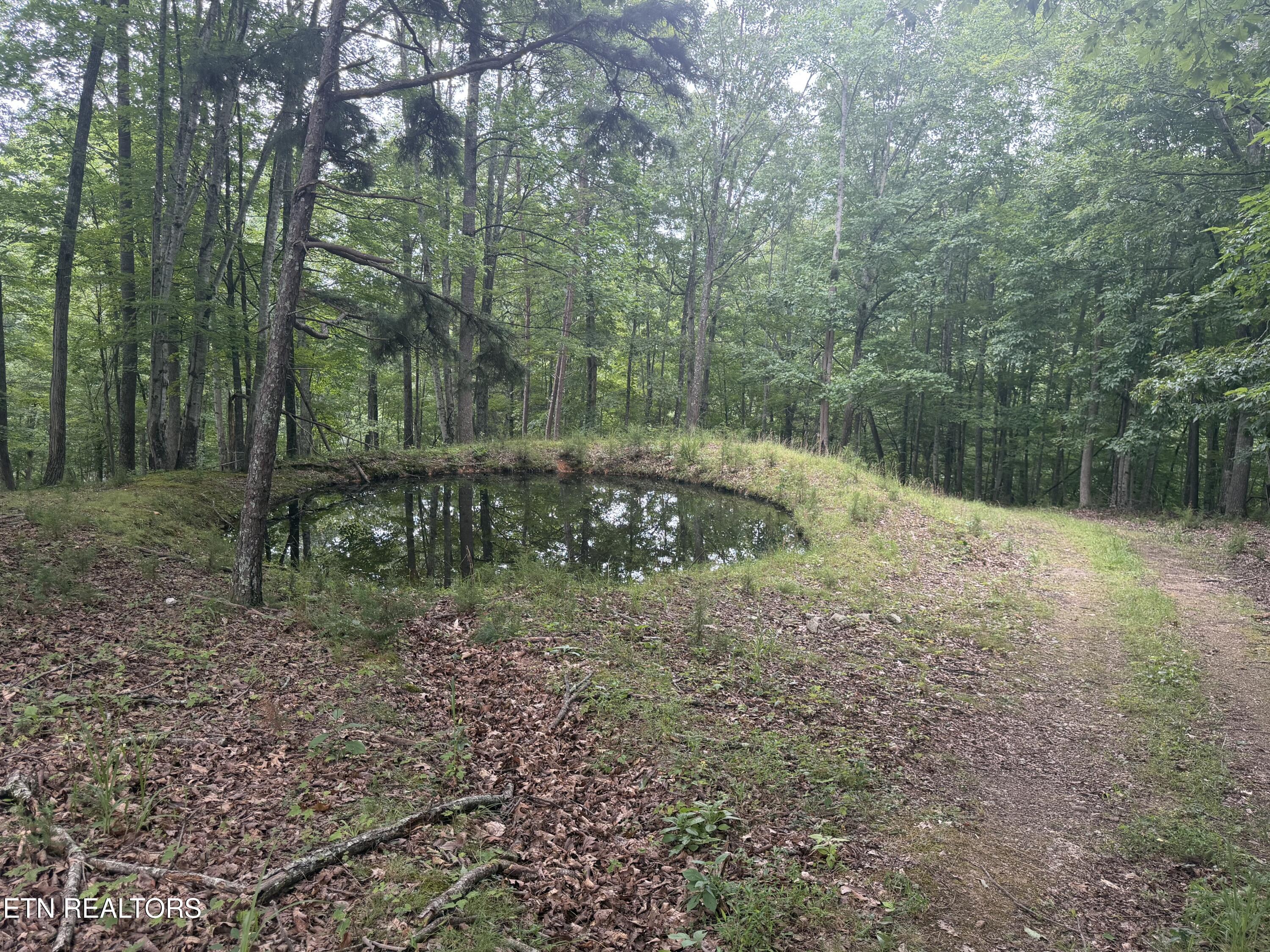 1545 Estes Road Tazewell TN 37879