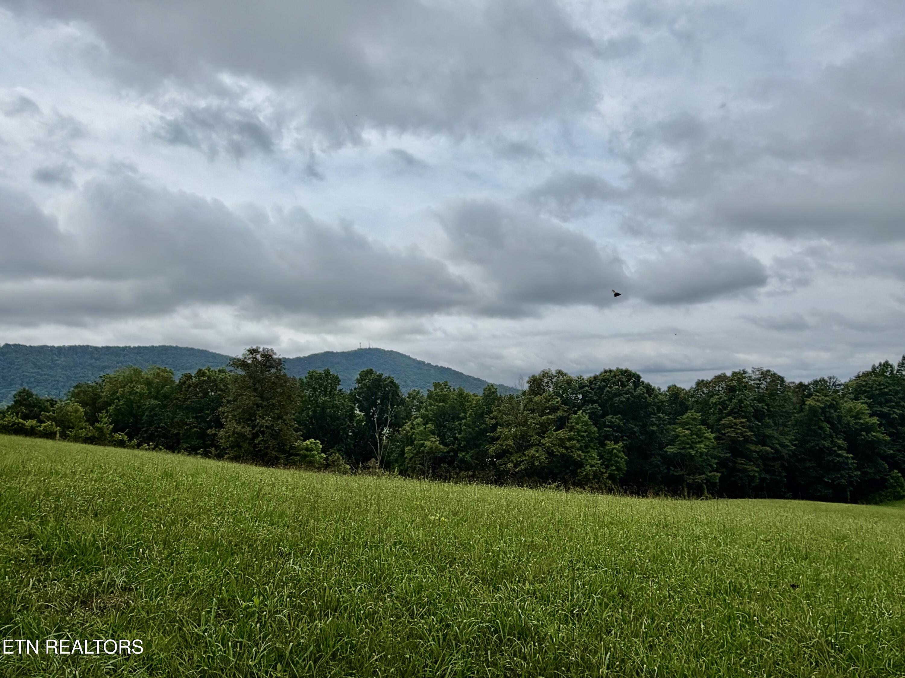 1545 Estes Road Tazewell TN 37879