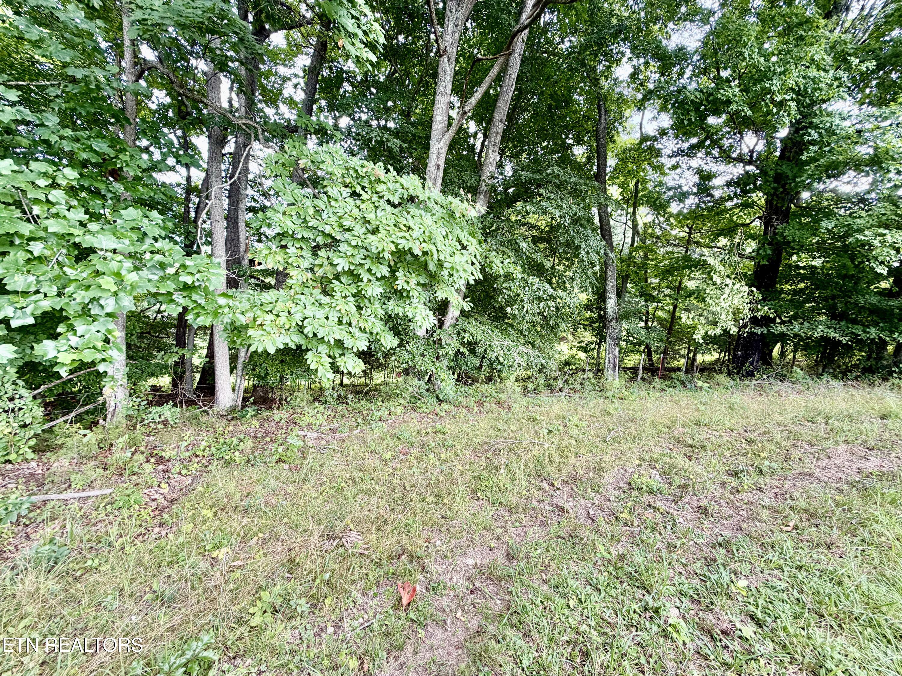 1545 Estes Road Tazewell TN 37879