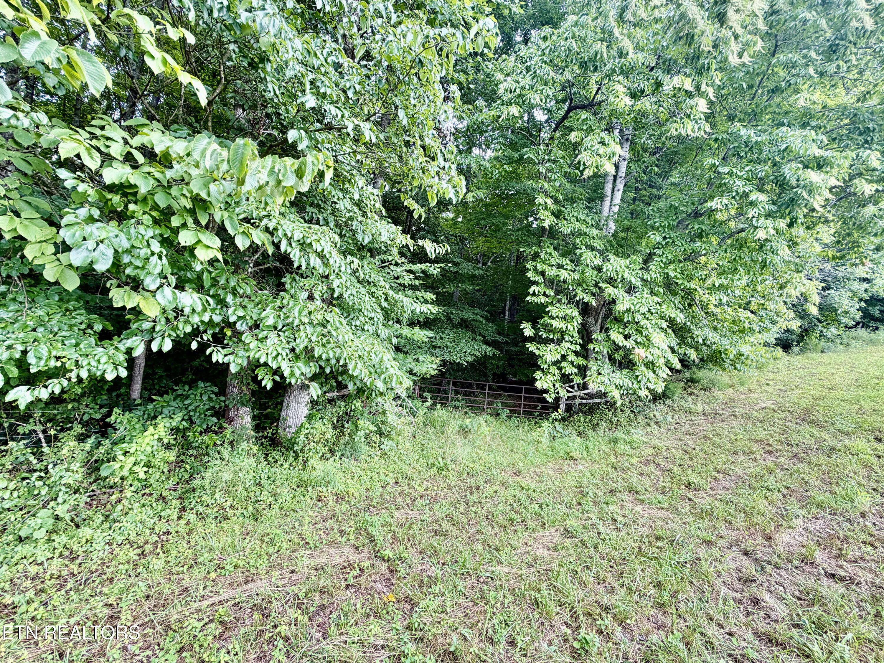 1545 Estes Road Tazewell TN 37879