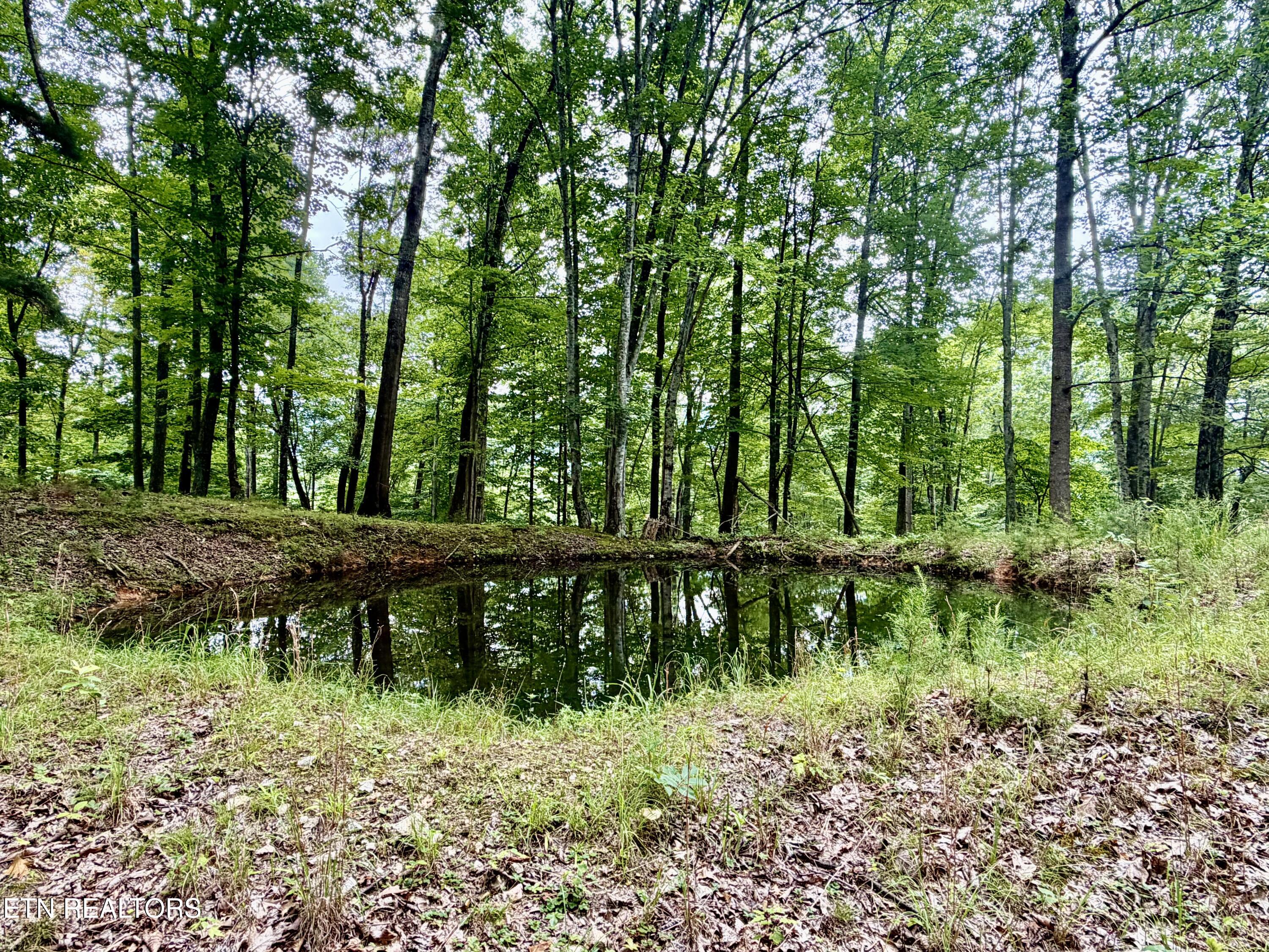 1545 Estes Road Tazewell TN 37879