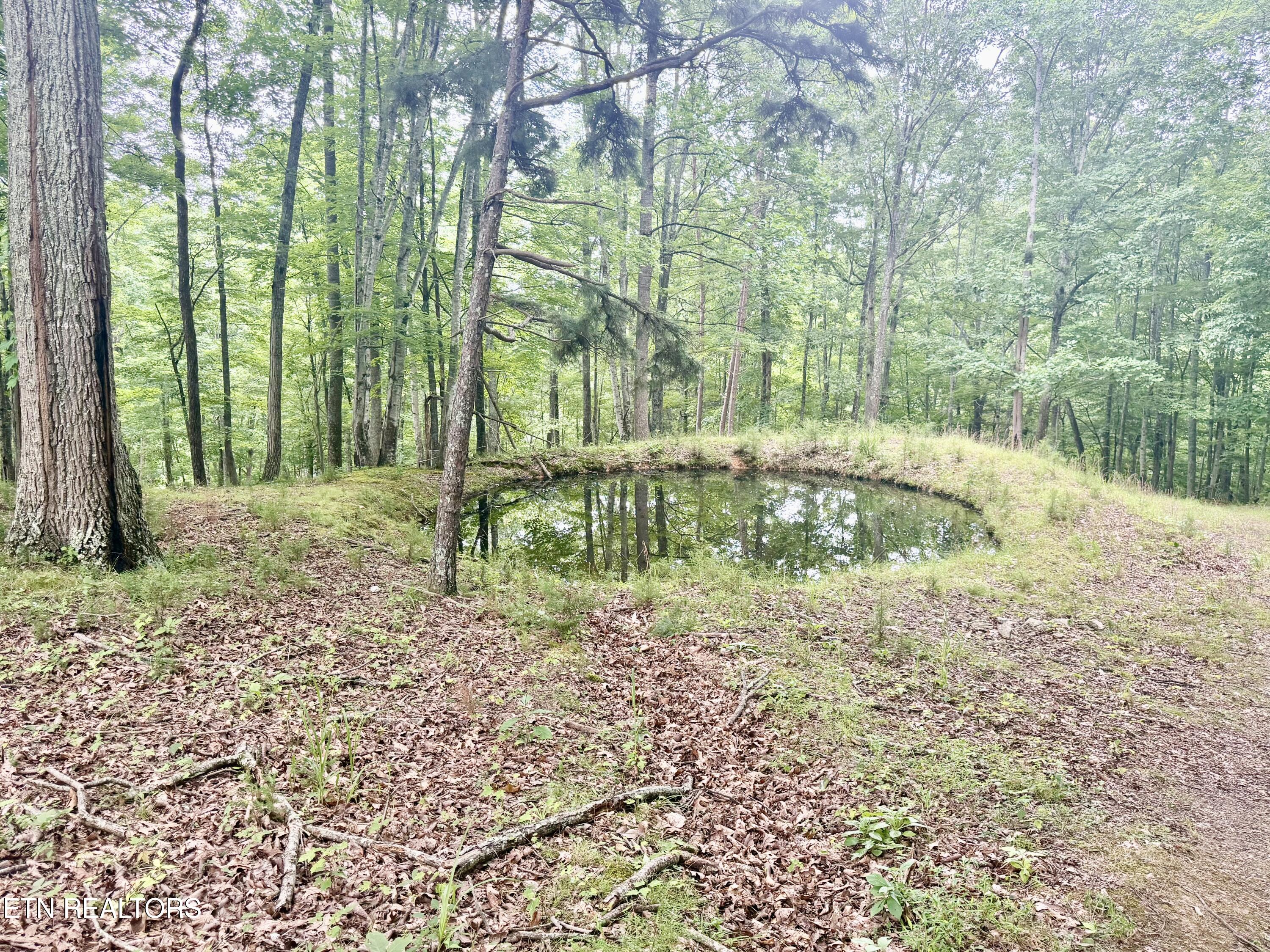 1545 Estes Road Tazewell TN 37879