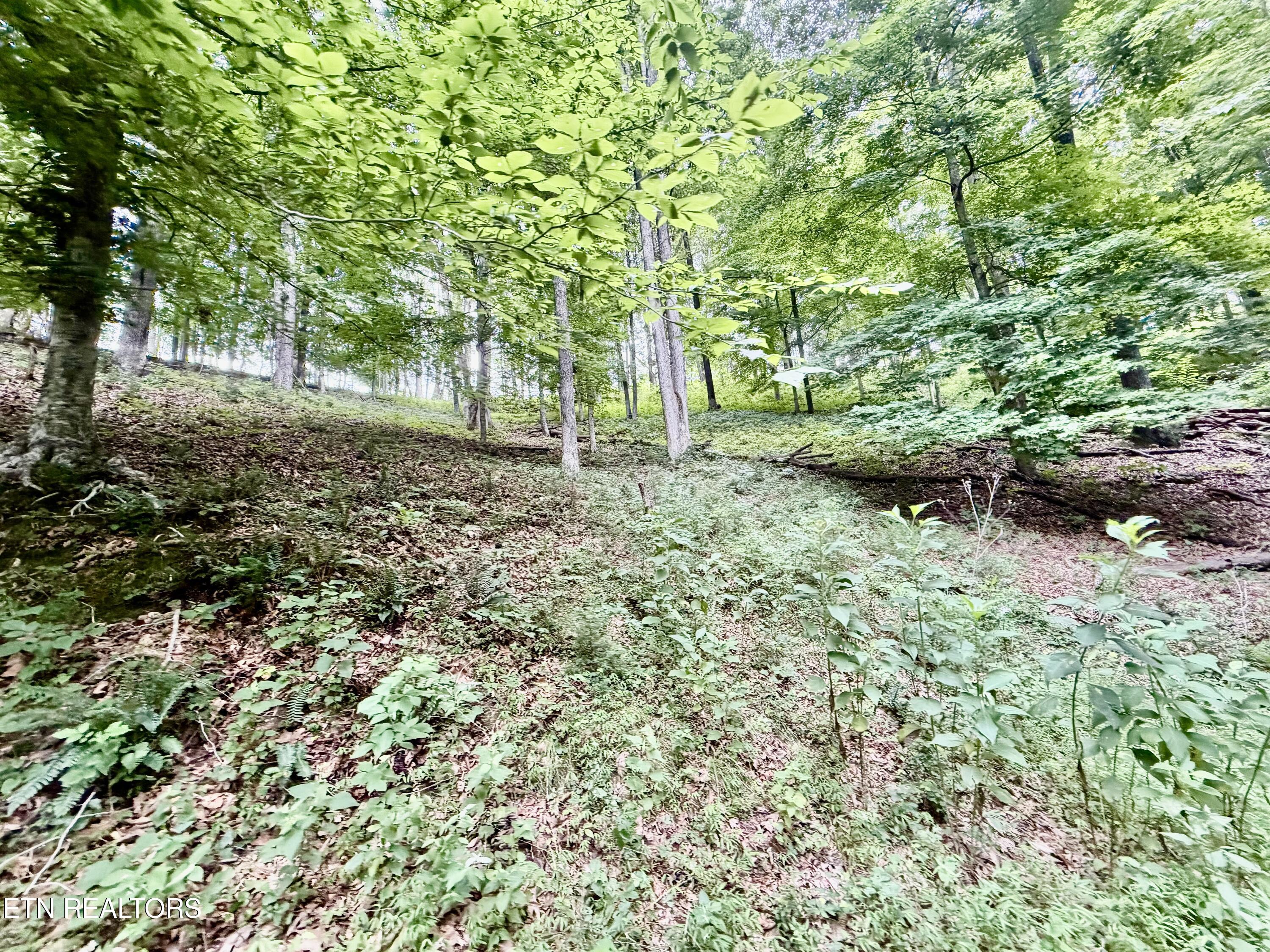 1545 Estes Road Tazewell TN 37879