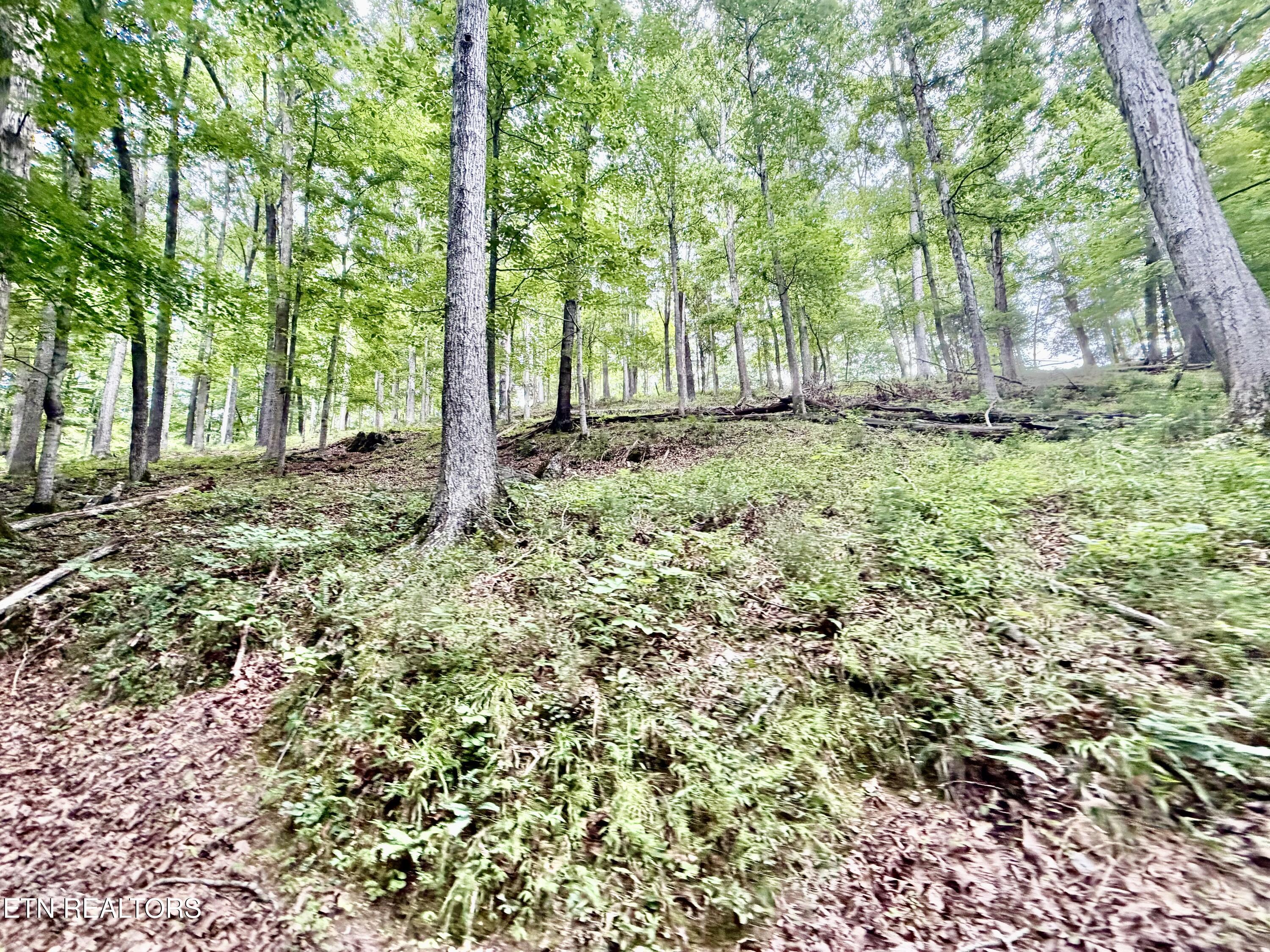 1545 Estes Road Tazewell TN 37879