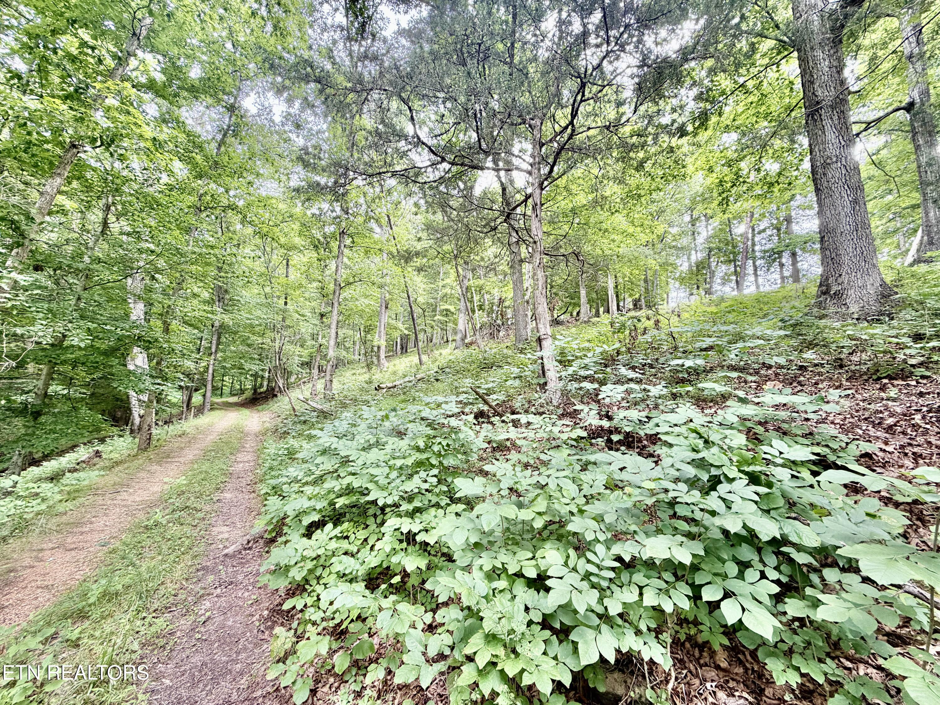 1545 Estes Road Tazewell TN 37879