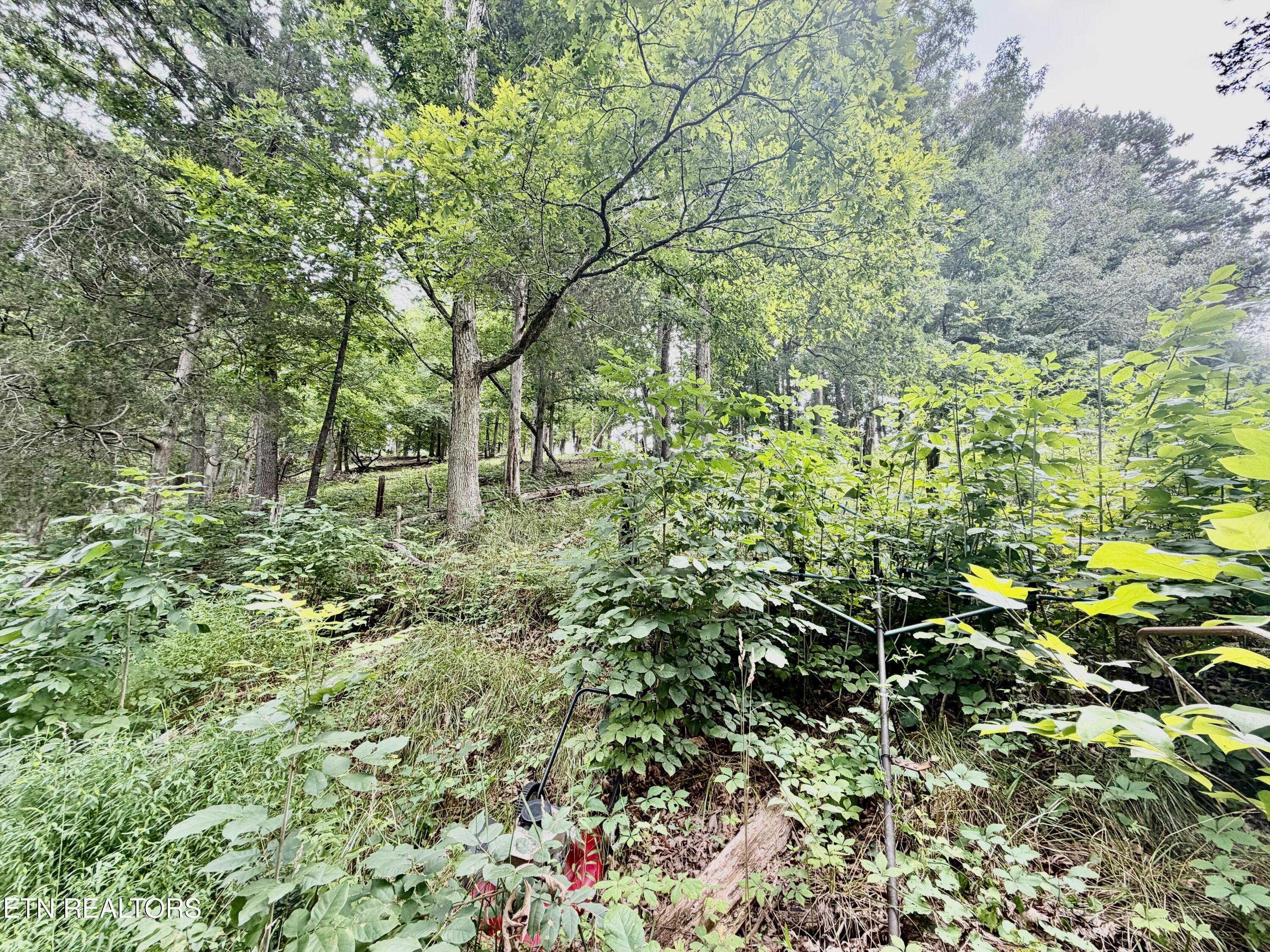 1545 Estes Road Tazewell TN 37879