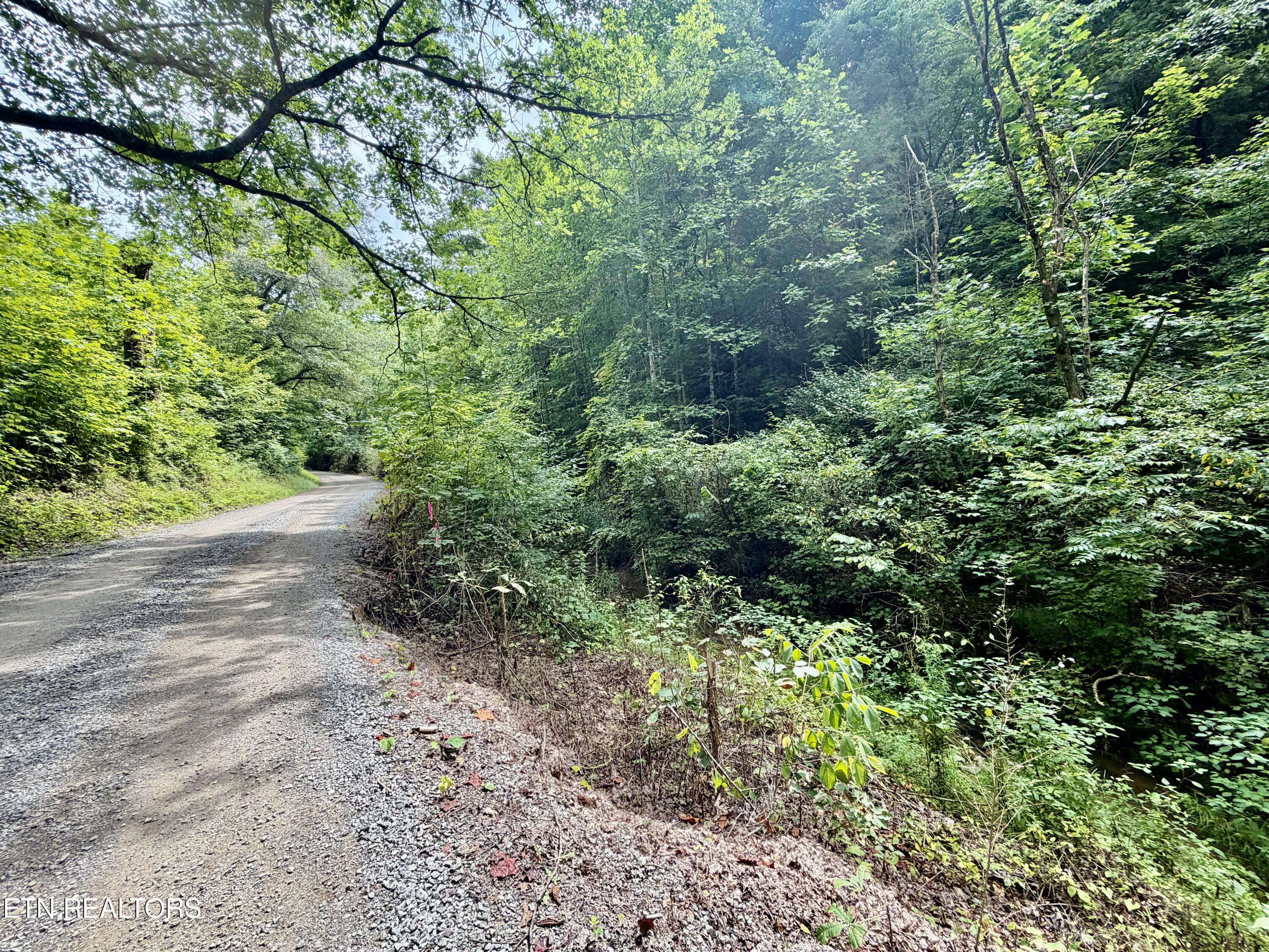 1545 Estes Road Tazewell TN 37879