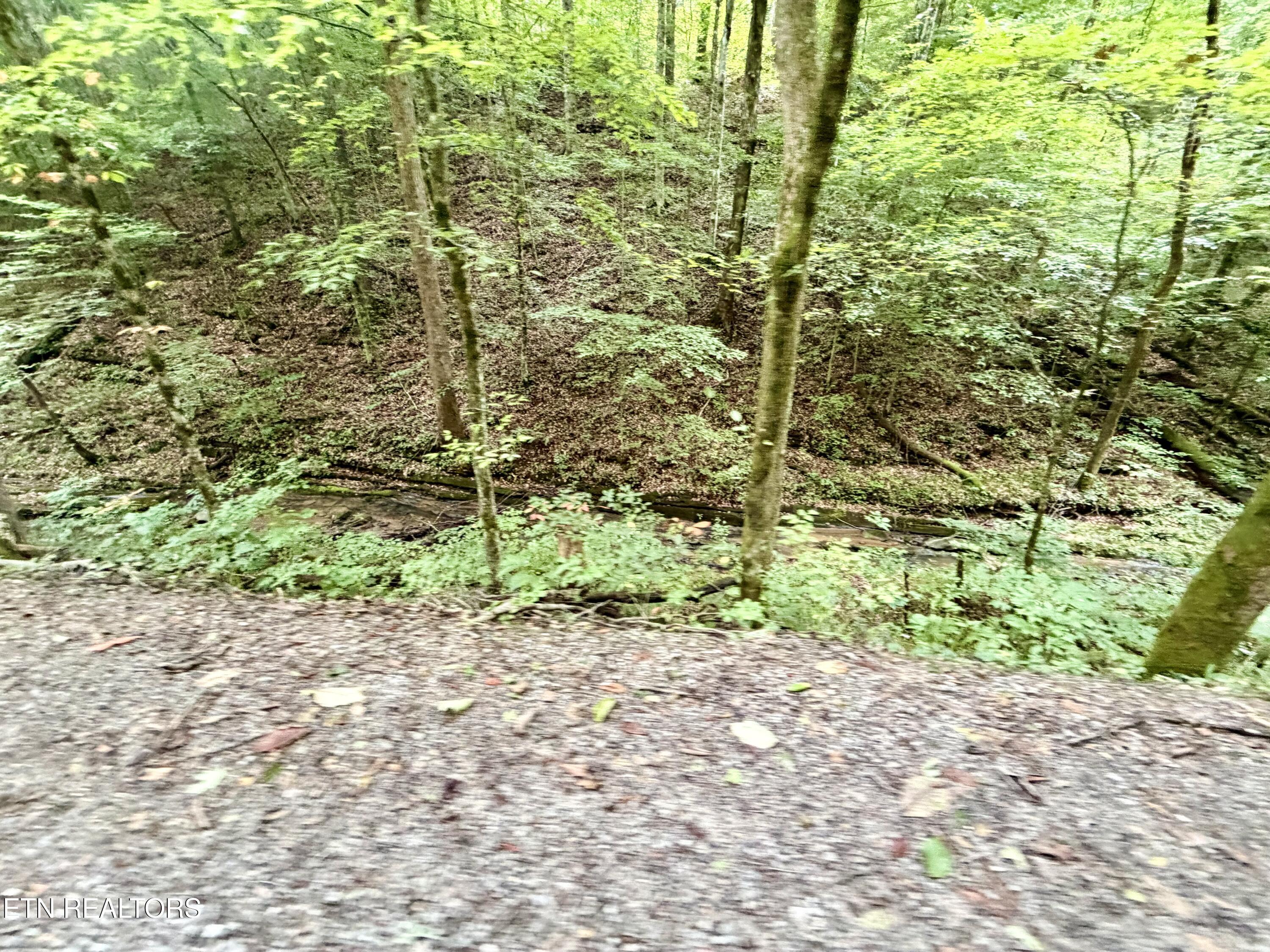 1545 Estes Road Tazewell TN 37879