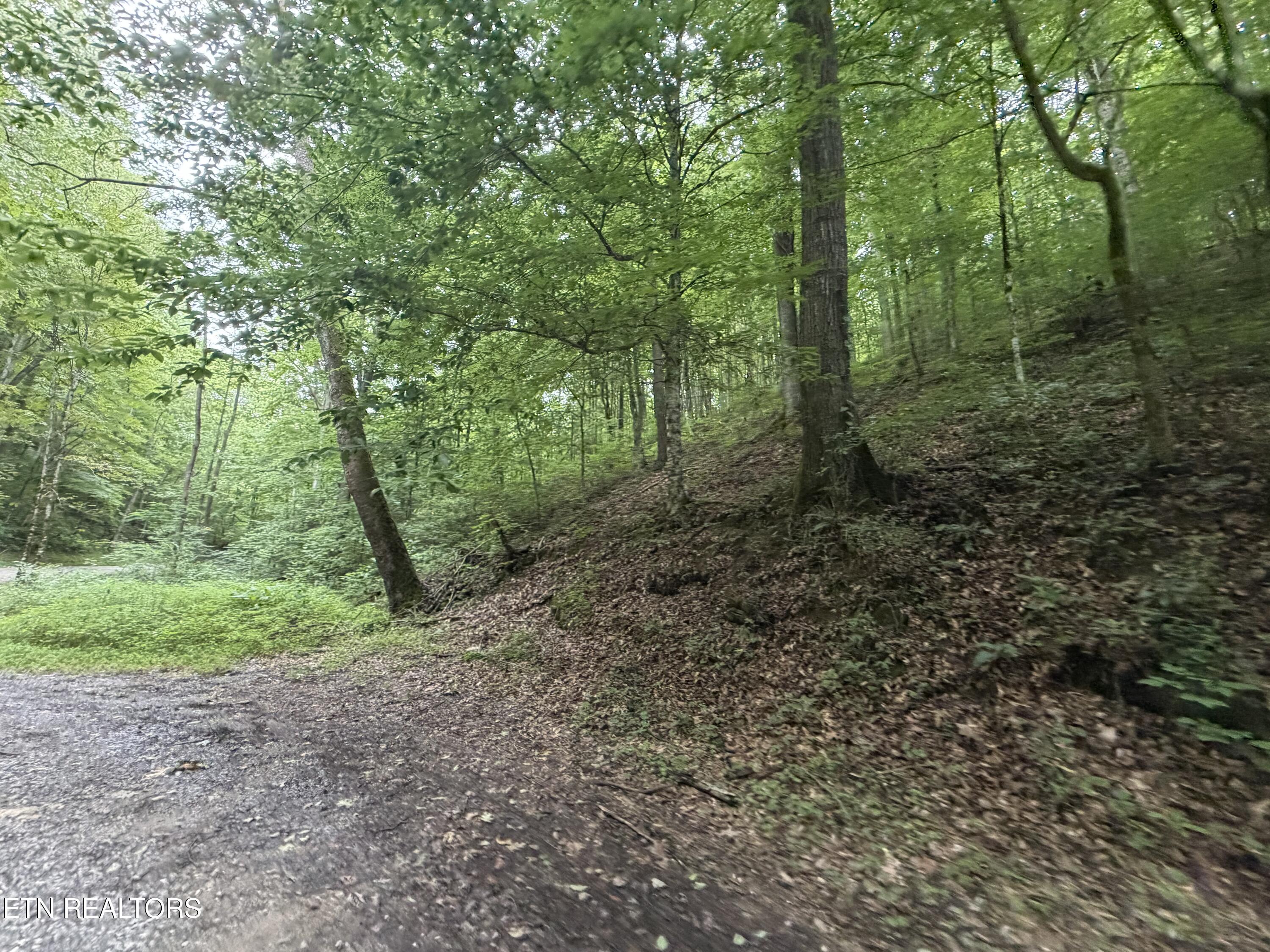 1545 Estes Road Tazewell TN 37879