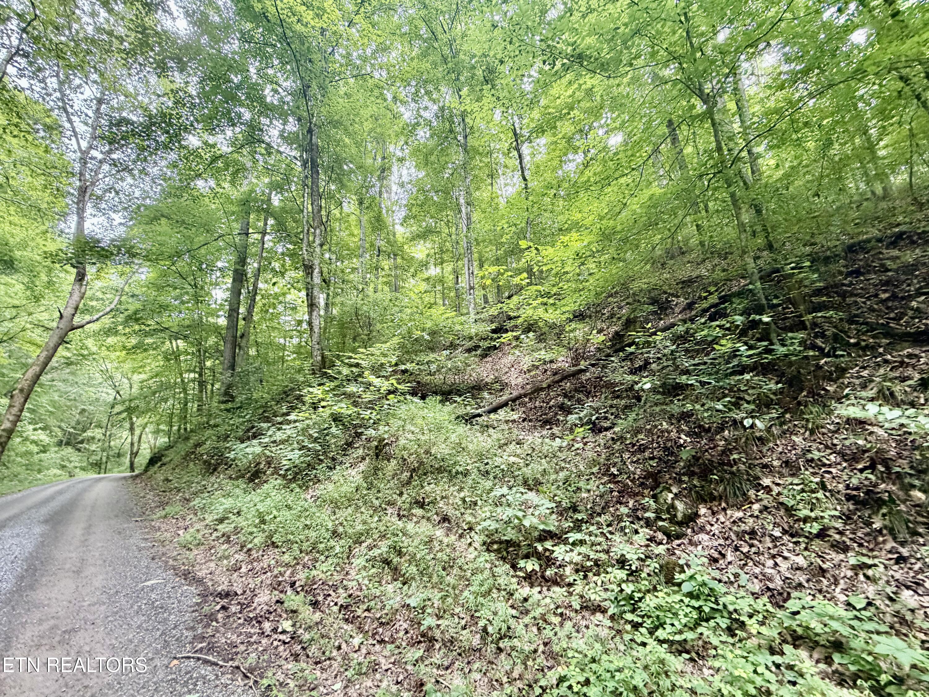 1545 Estes Road Tazewell TN 37879