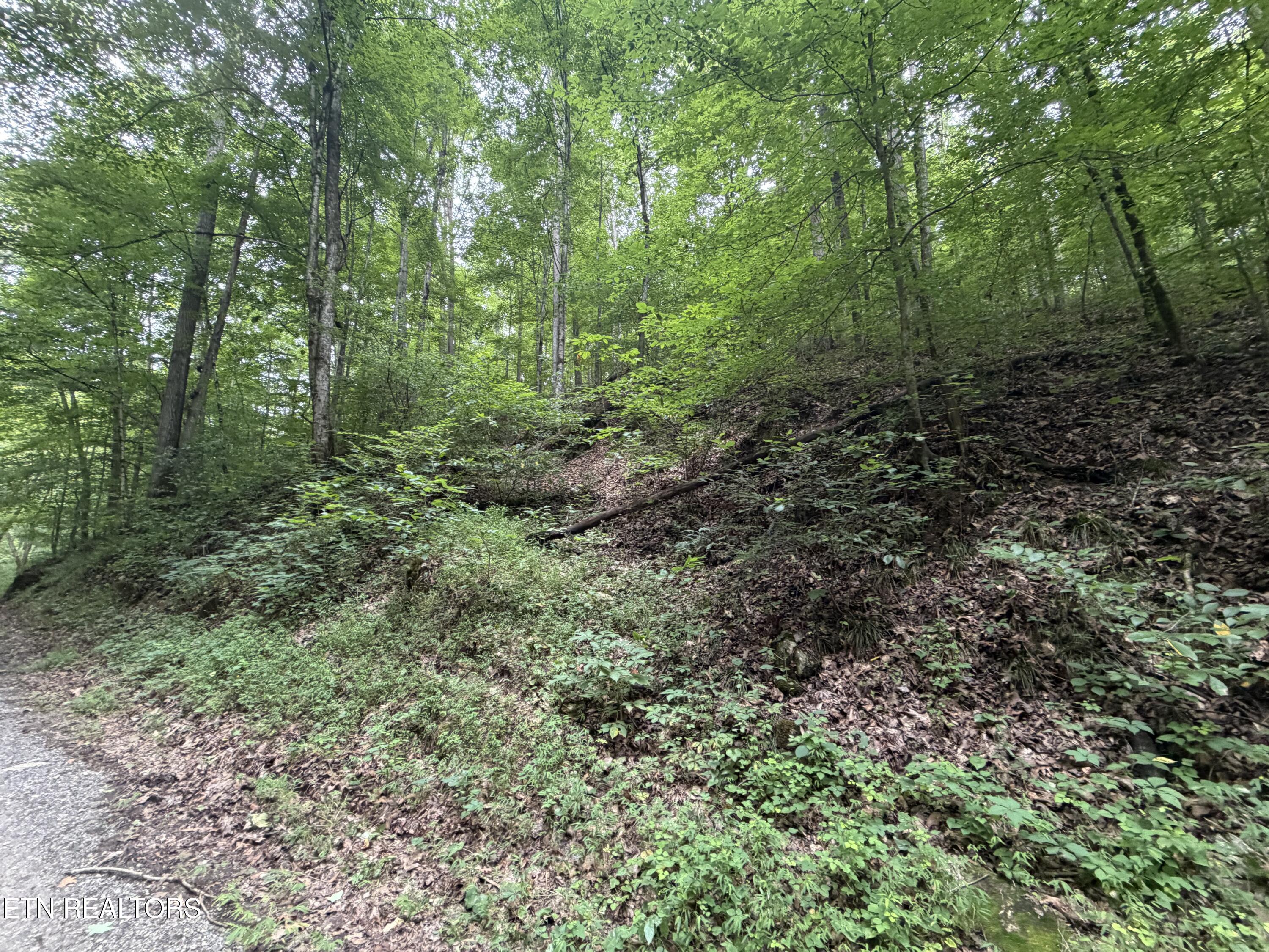 1545 Estes Road Tazewell TN 37879