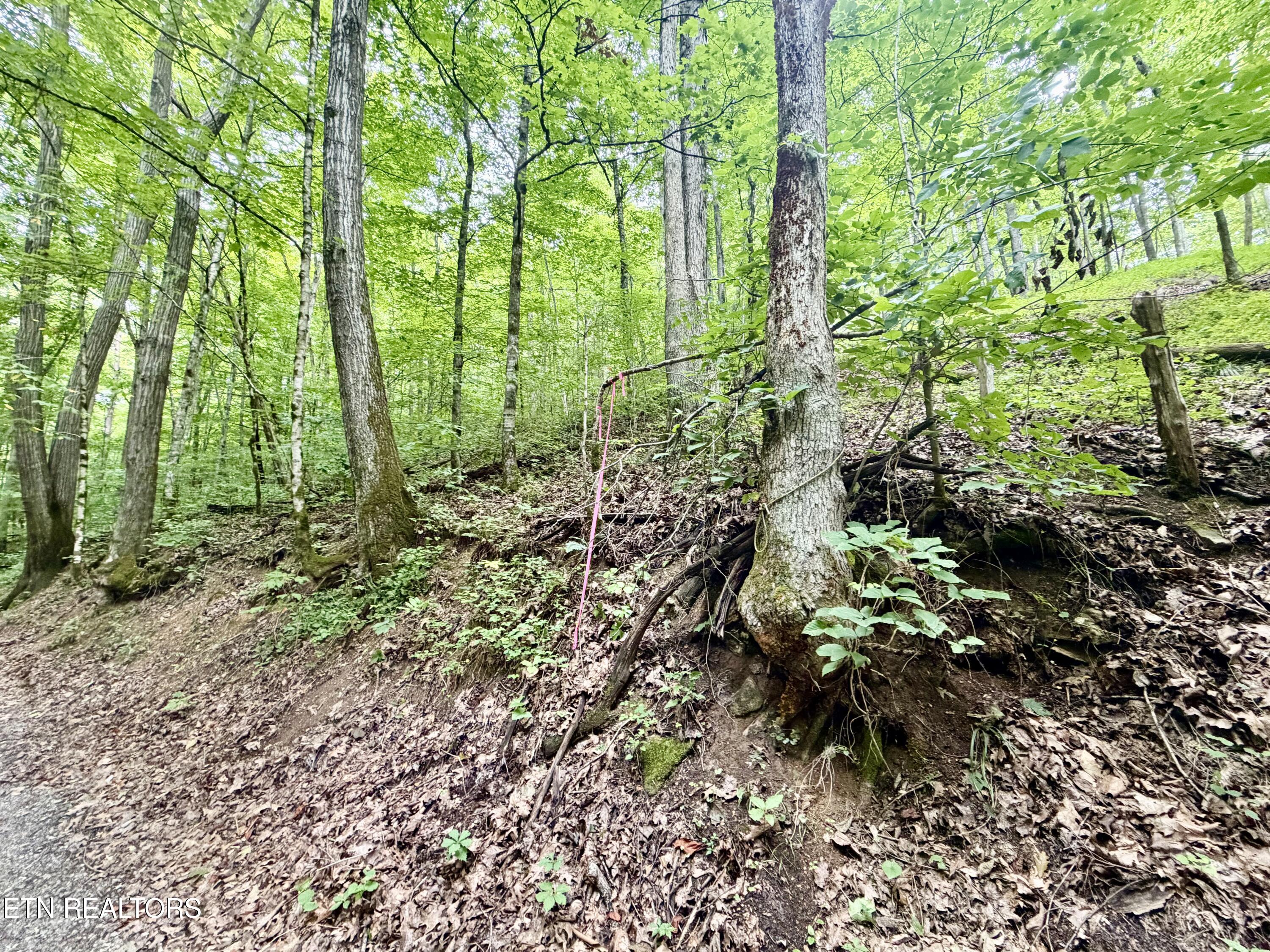 1545 Estes Road Tazewell TN 37879