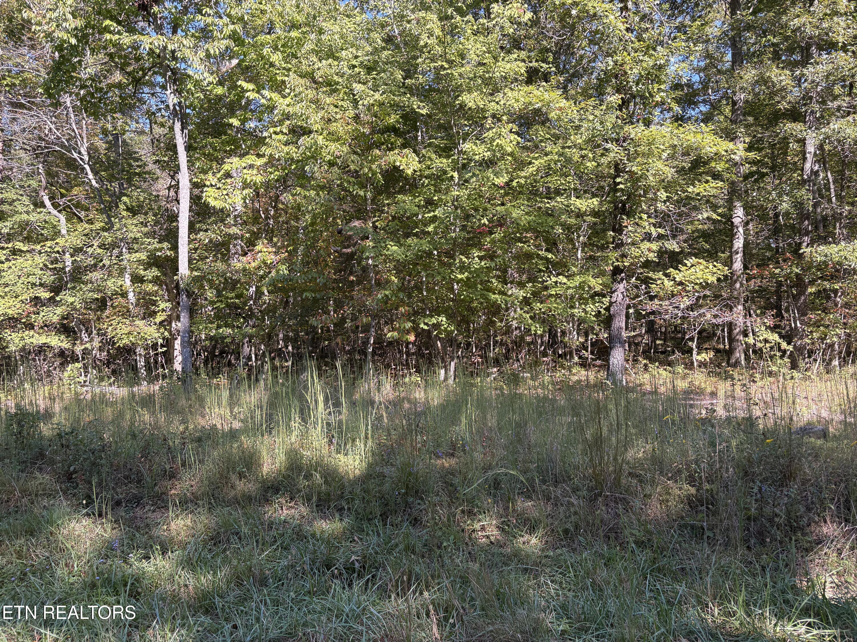 1231 Natchez Trace Crossville TN 38572