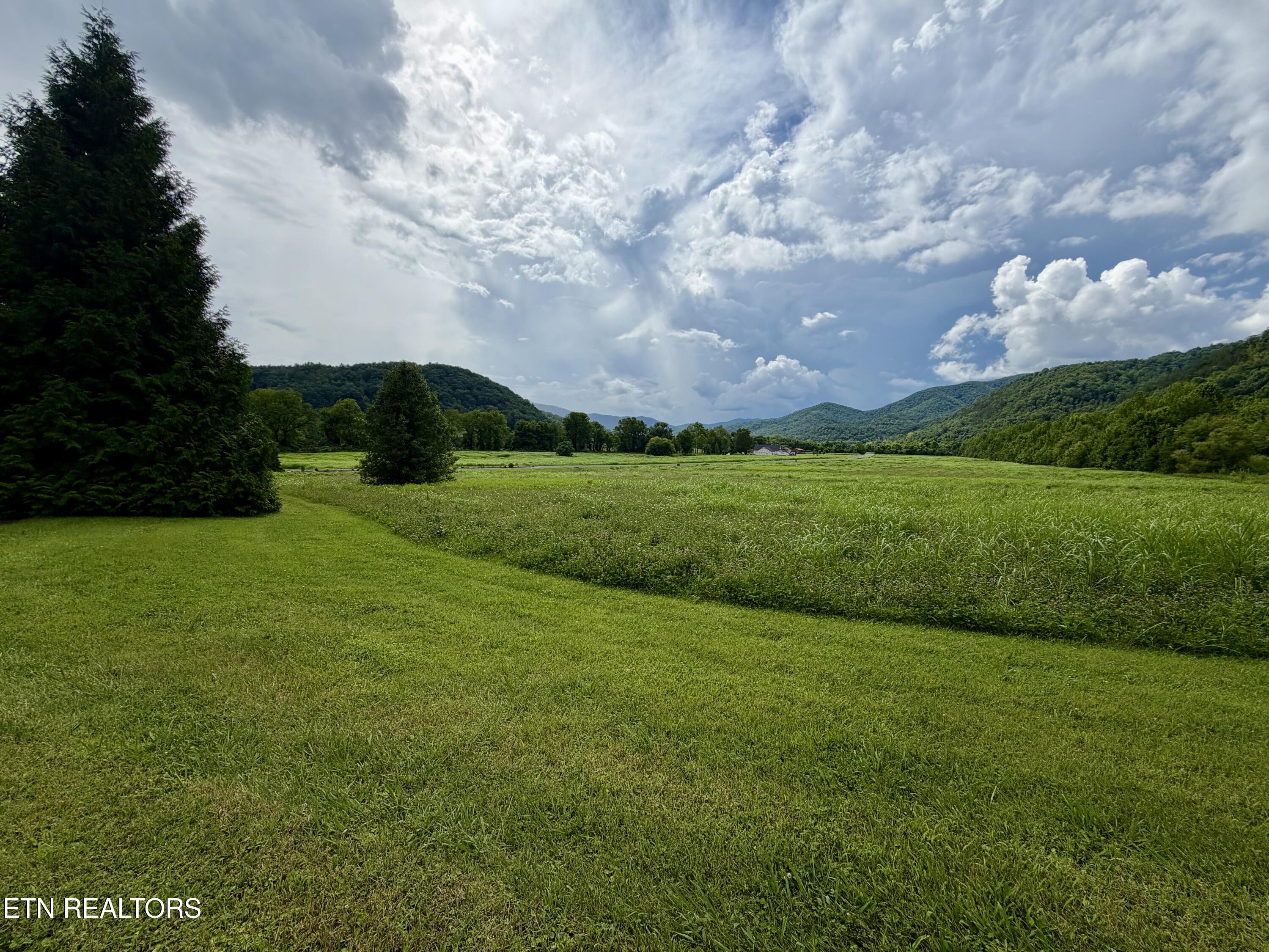 Lot 145 River Rapids Way Del Rio TN 37727