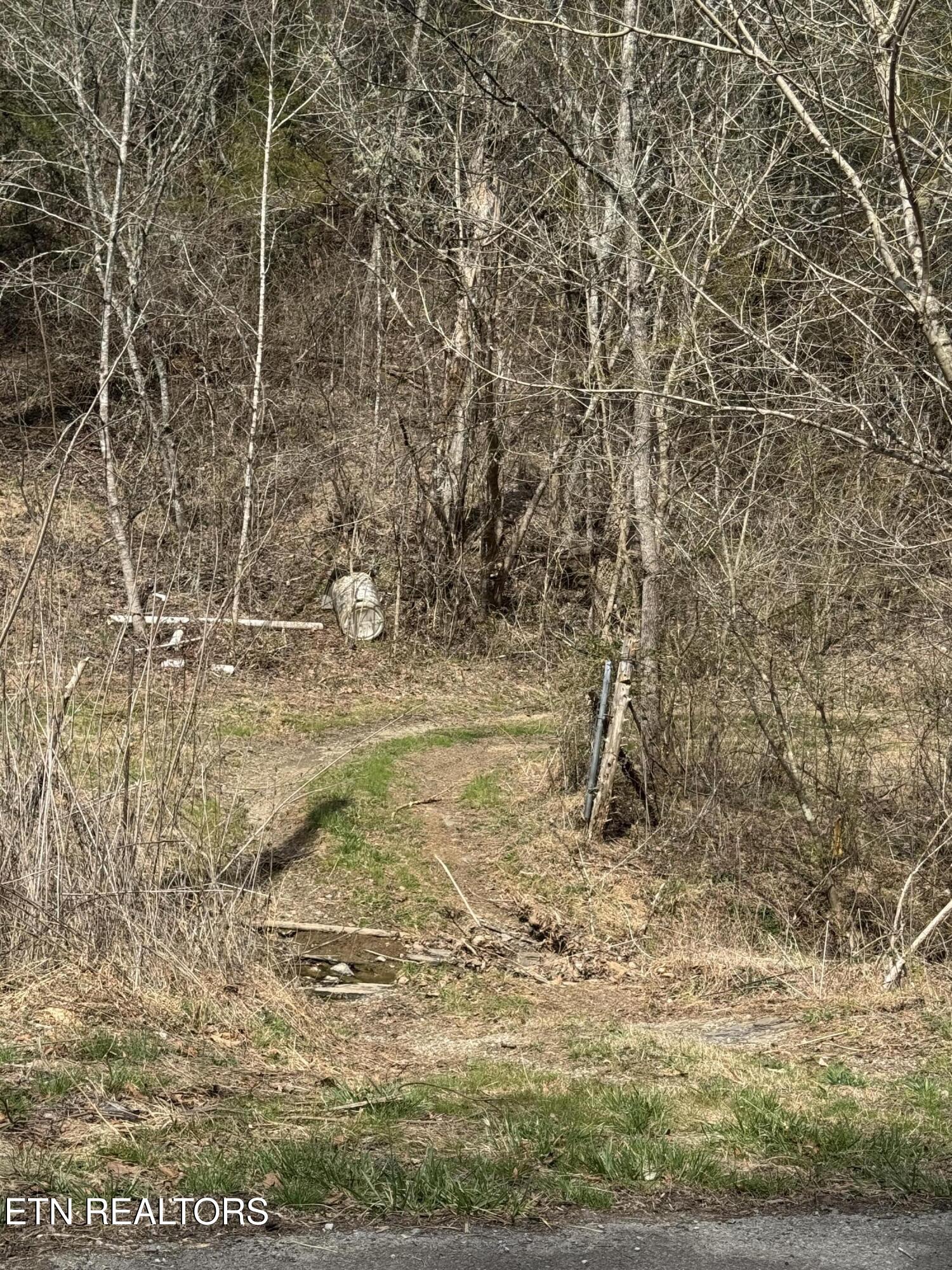 Bear Creek Road Bybee TN 37713