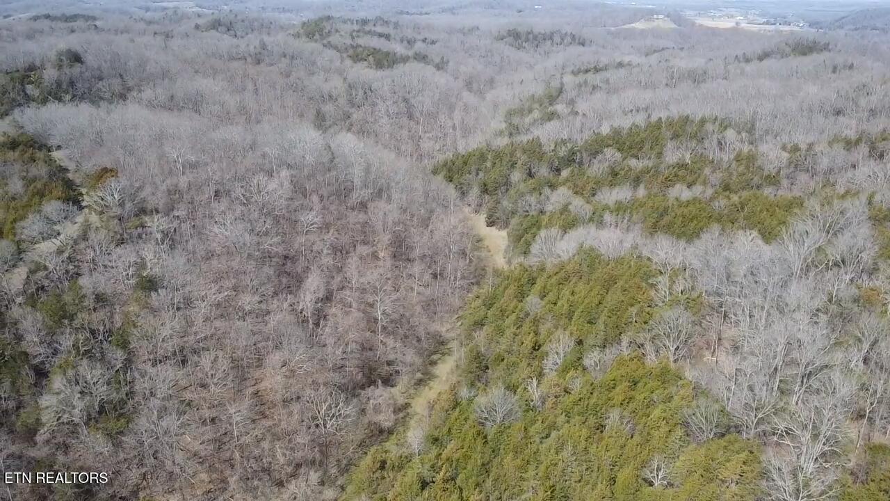 Bear Creek Road Bybee TN 37713