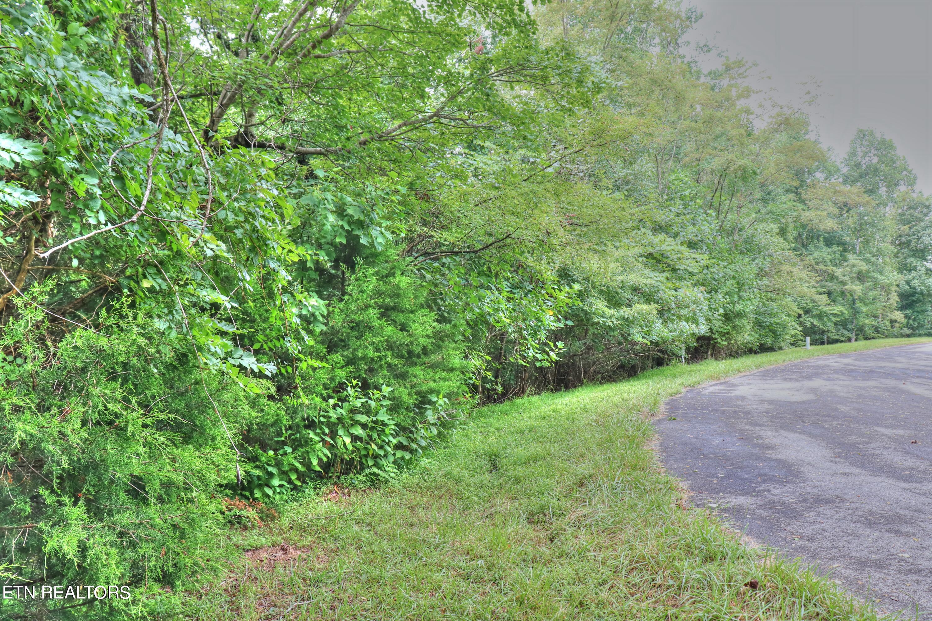 Lot 432 Beryl Court New Tazewell TN 37825