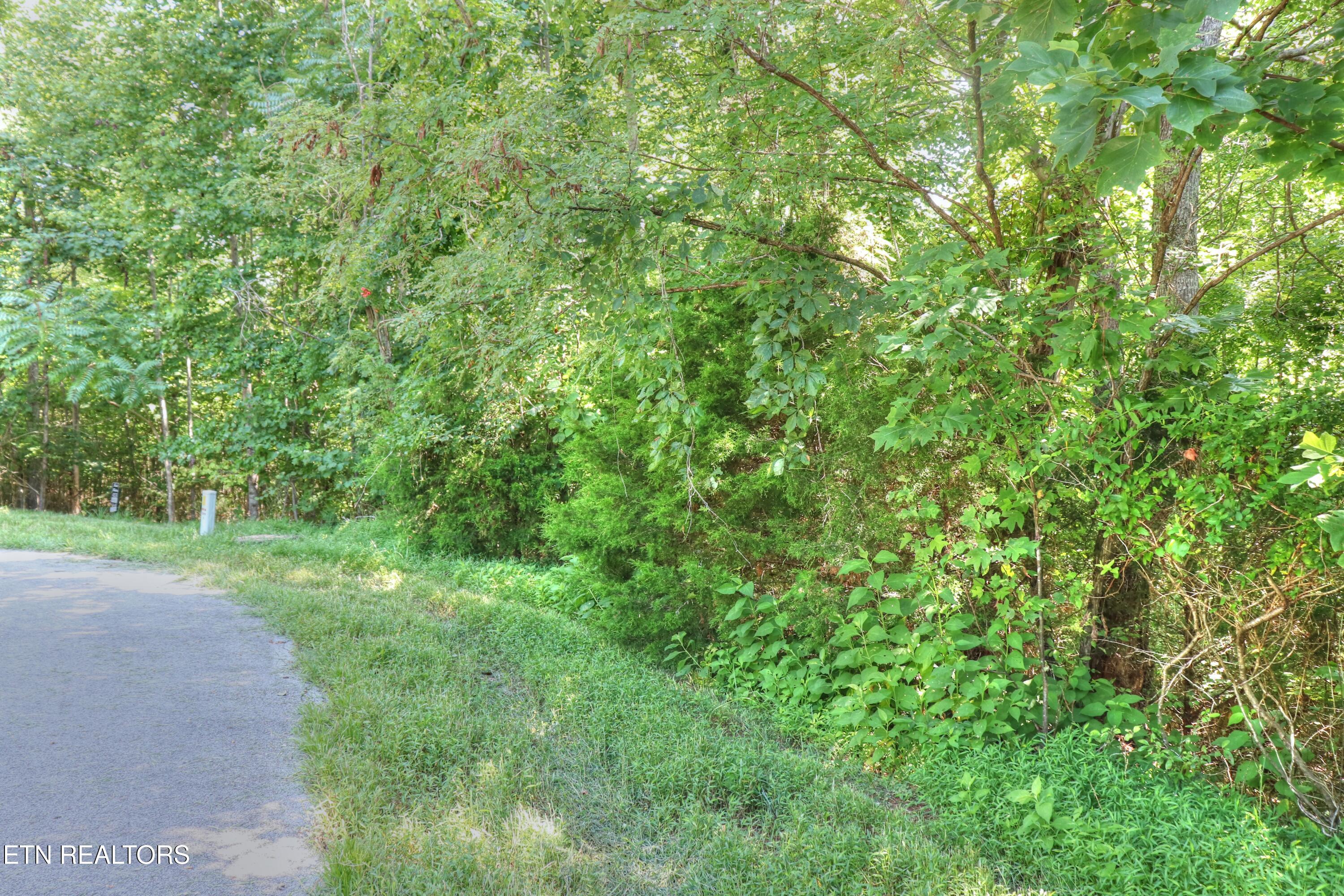 Lot 432 Beryl Court New Tazewell TN 37825