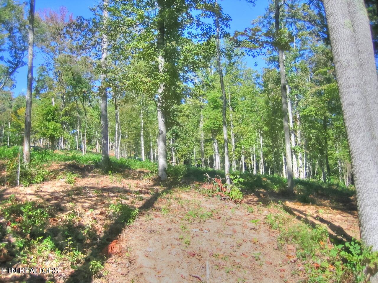 Lot 432 Beryl Court New Tazewell TN 37825