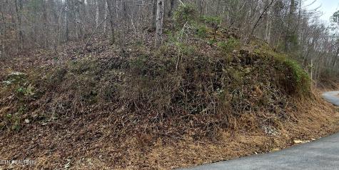 Lot 0006 Wildcat Ridge Road Sevierville TN 37862