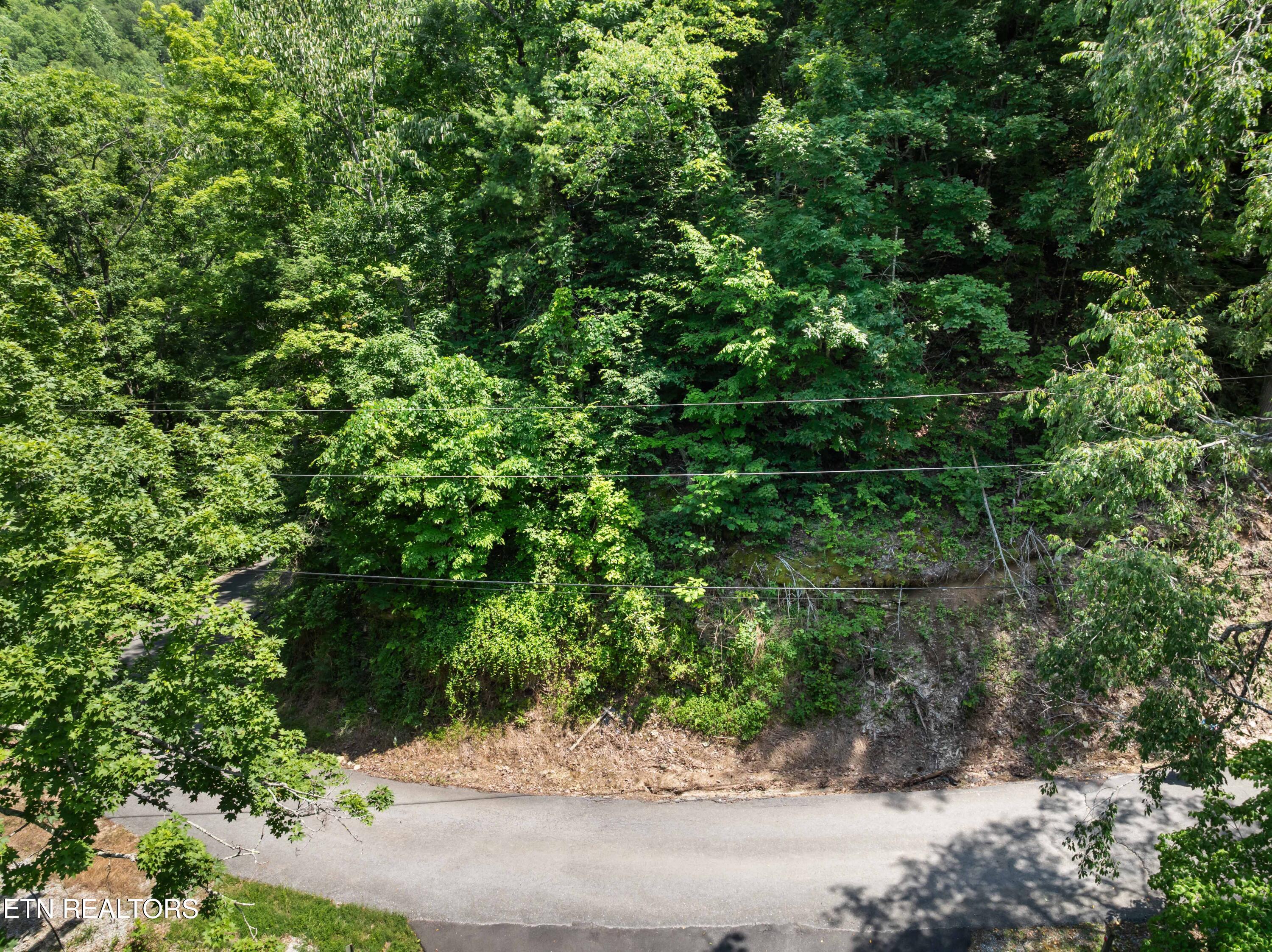 Lot 0006 Wildcat Ridge Road Sevierville TN 37862