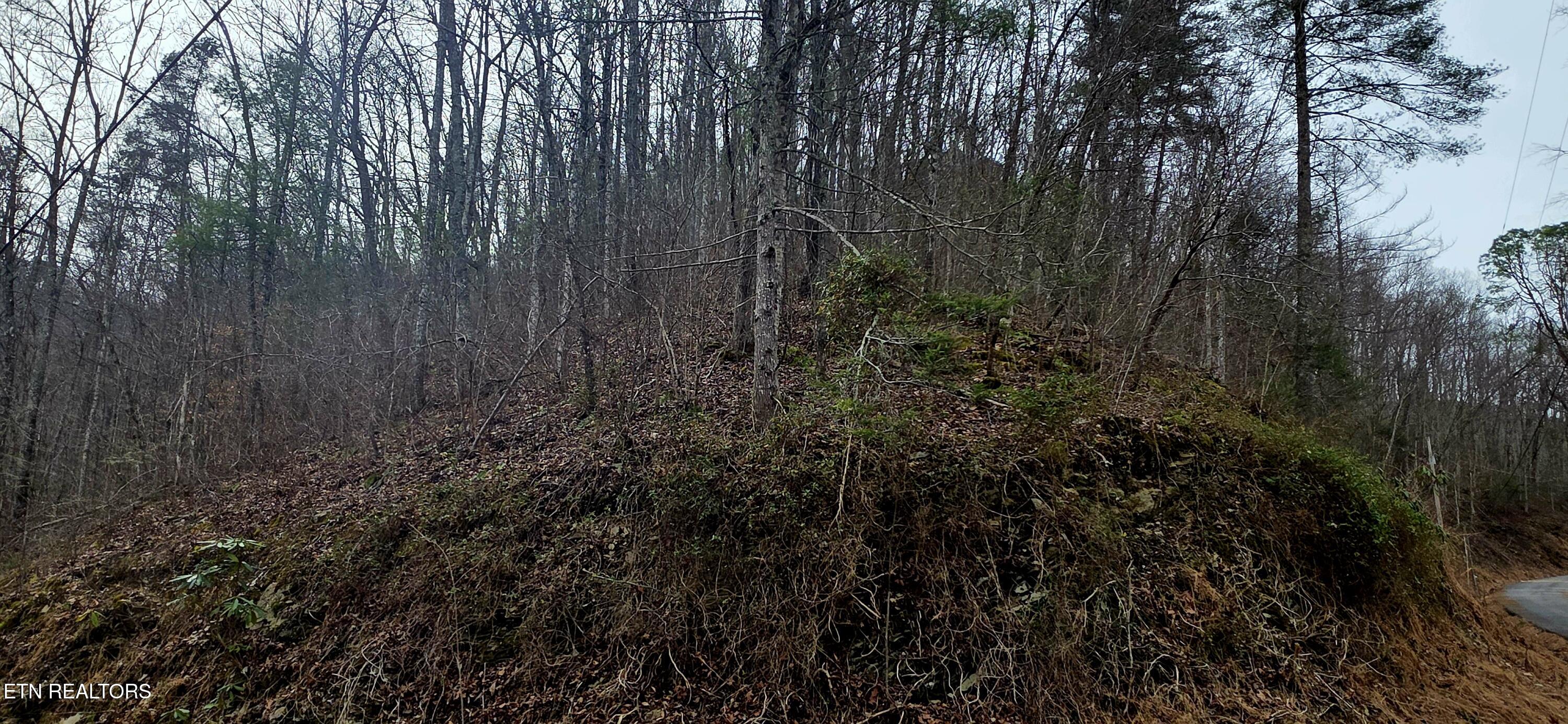 Lot 0006 Wildcat Ridge Road Sevierville TN 37862