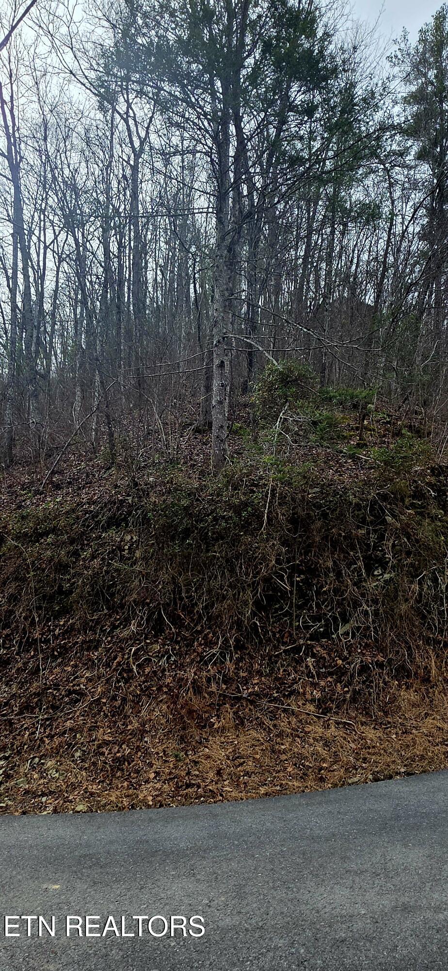Lot 0006 Wildcat Ridge Road Sevierville TN 37862