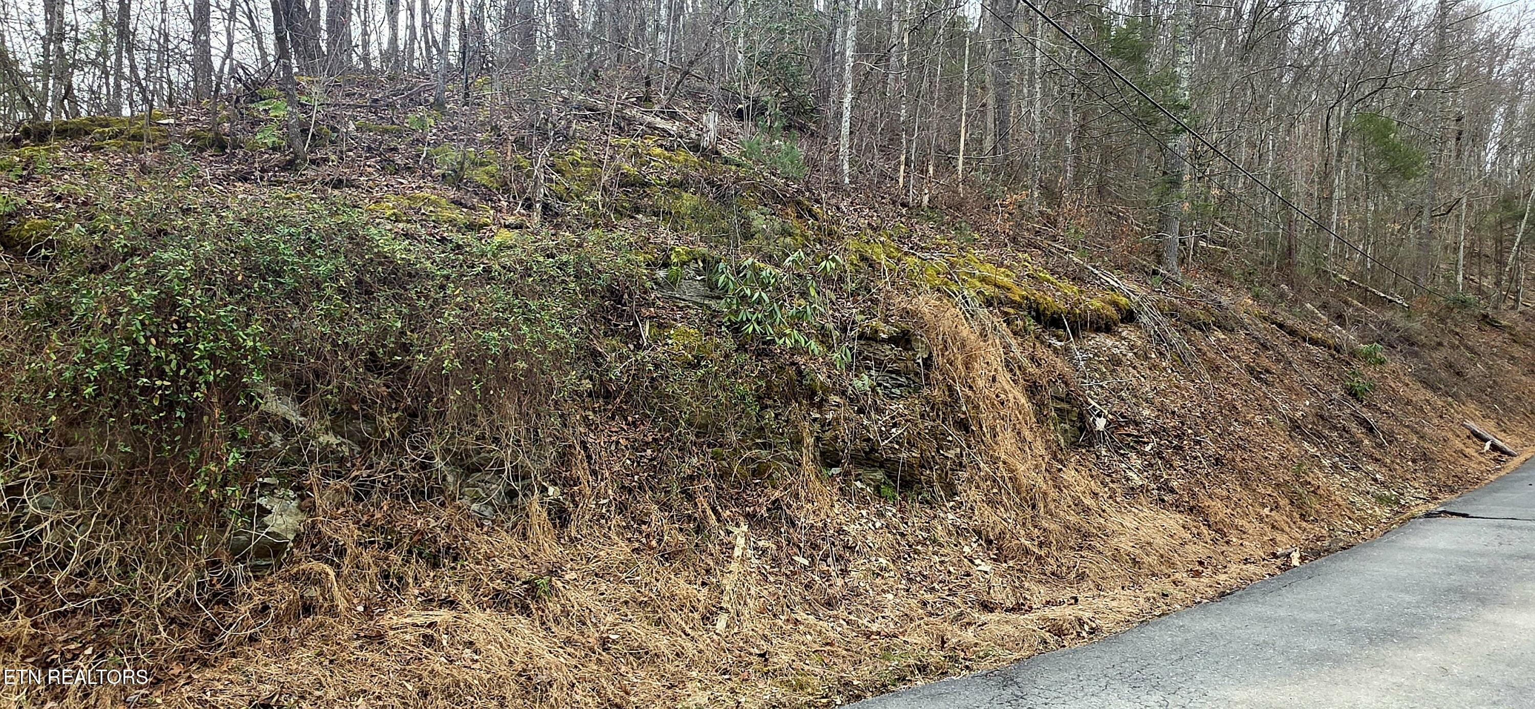 Lot 0006 Wildcat Ridge Road Sevierville TN 37862