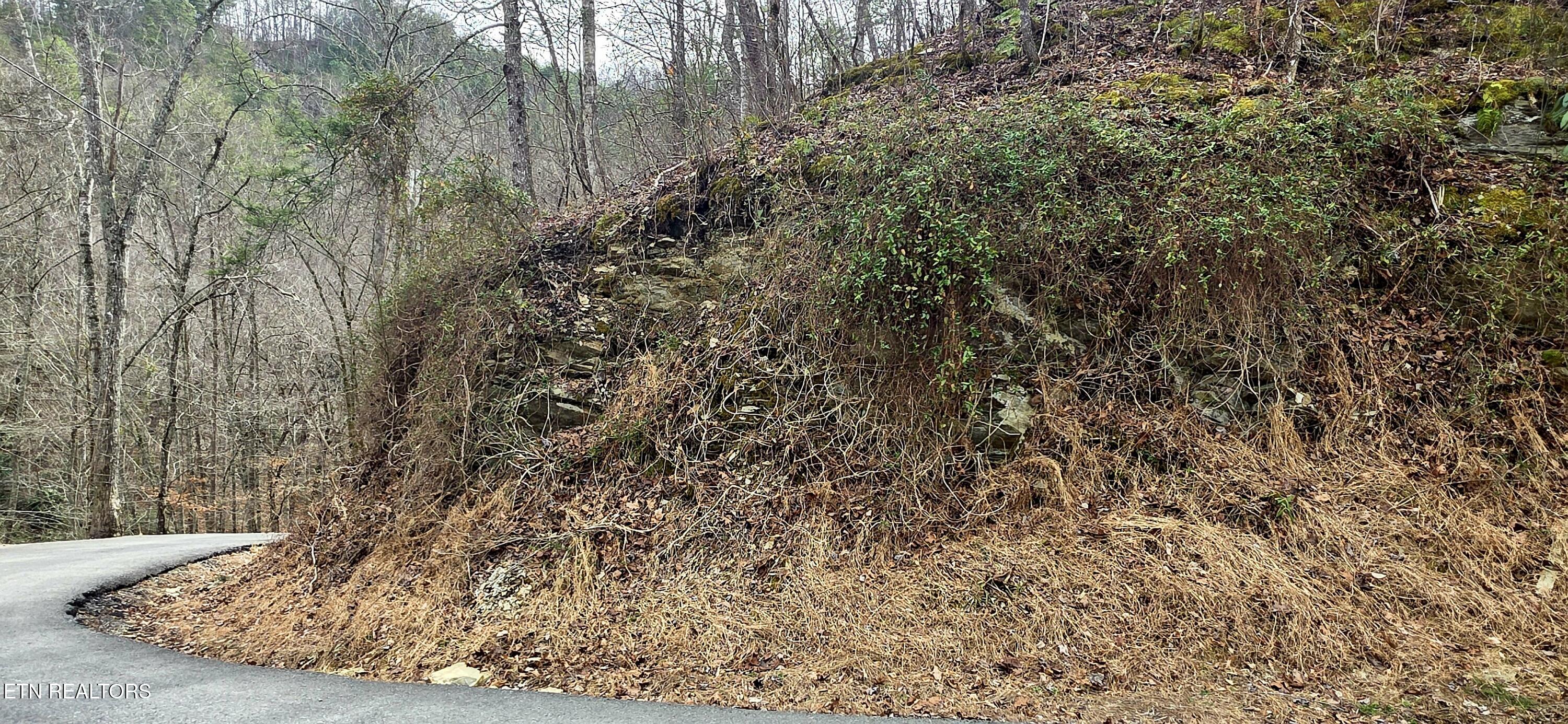 Lot 0006 Wildcat Ridge Road Sevierville TN 37862
