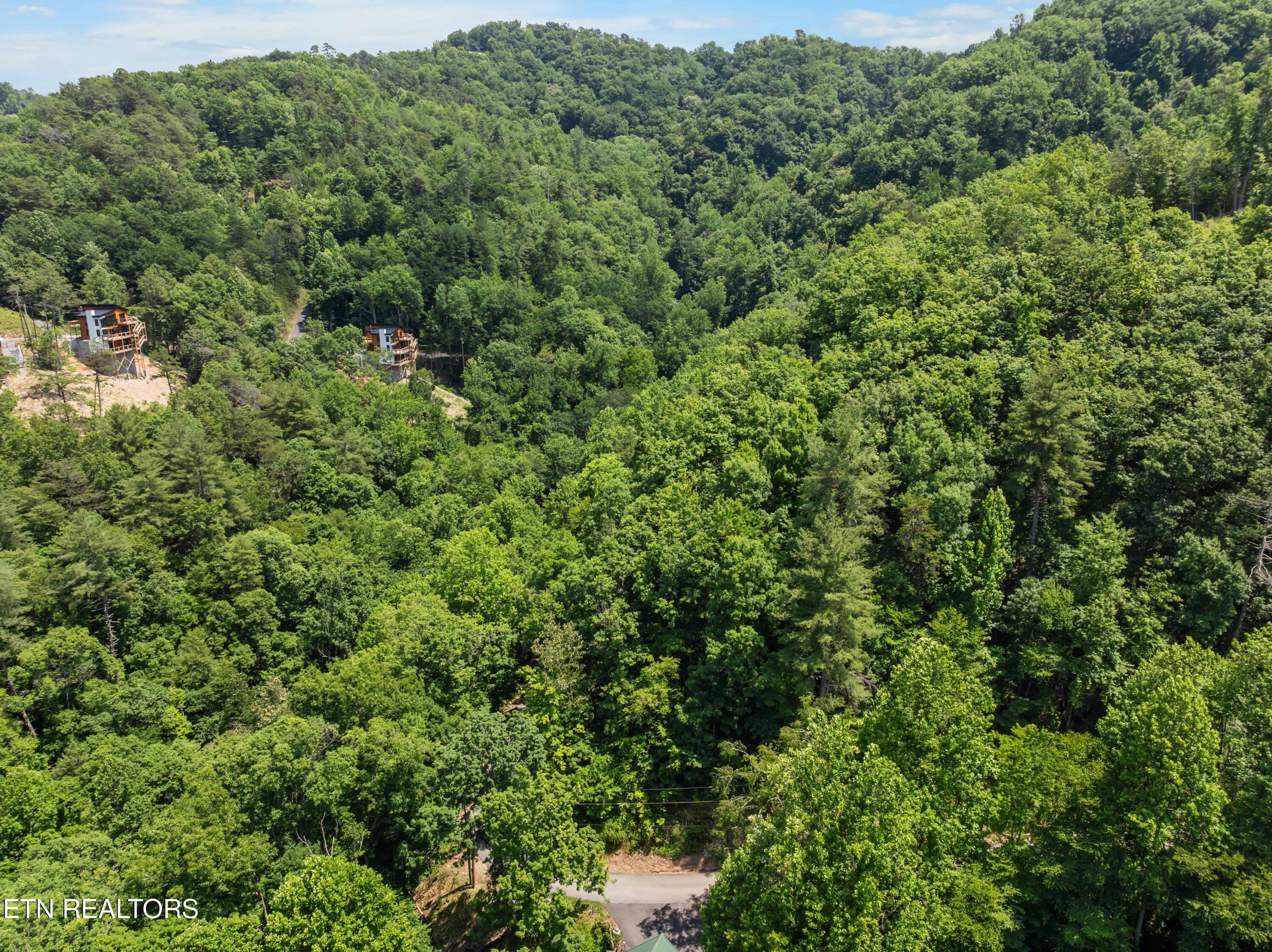 Lot 0006 Wildcat Ridge Road Sevierville TN 37862
