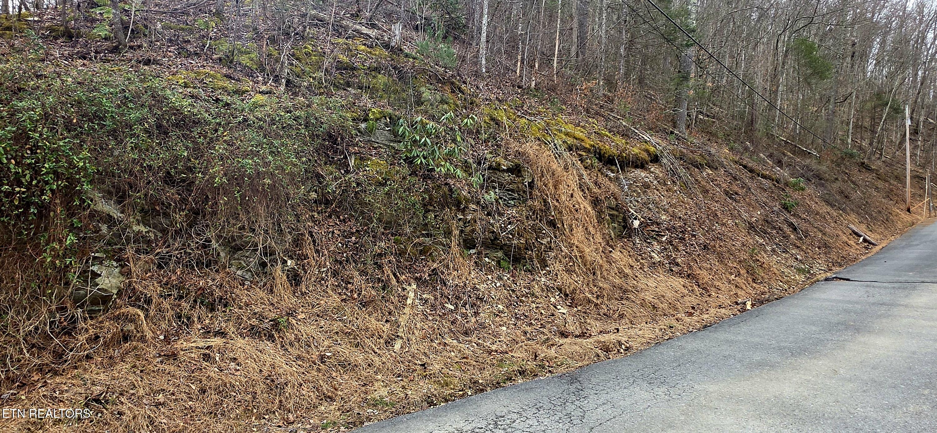 Lot 0006 Wildcat Ridge Road Sevierville TN 37862