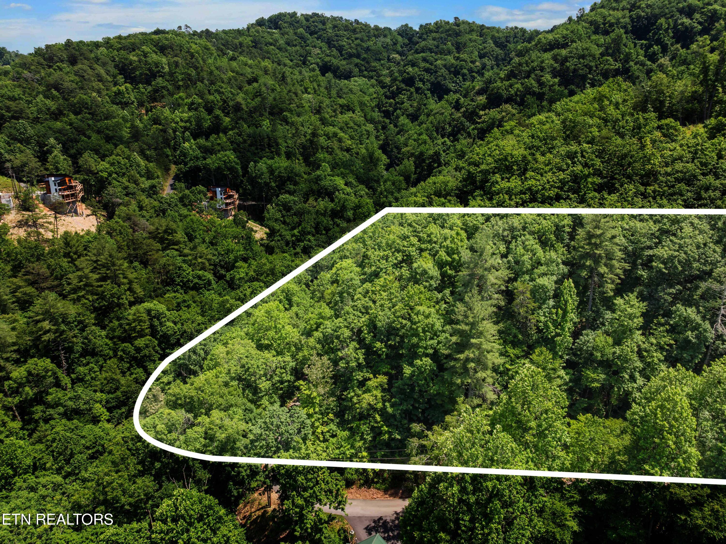 Lot 0006 Wildcat Ridge Road Sevierville TN 37862