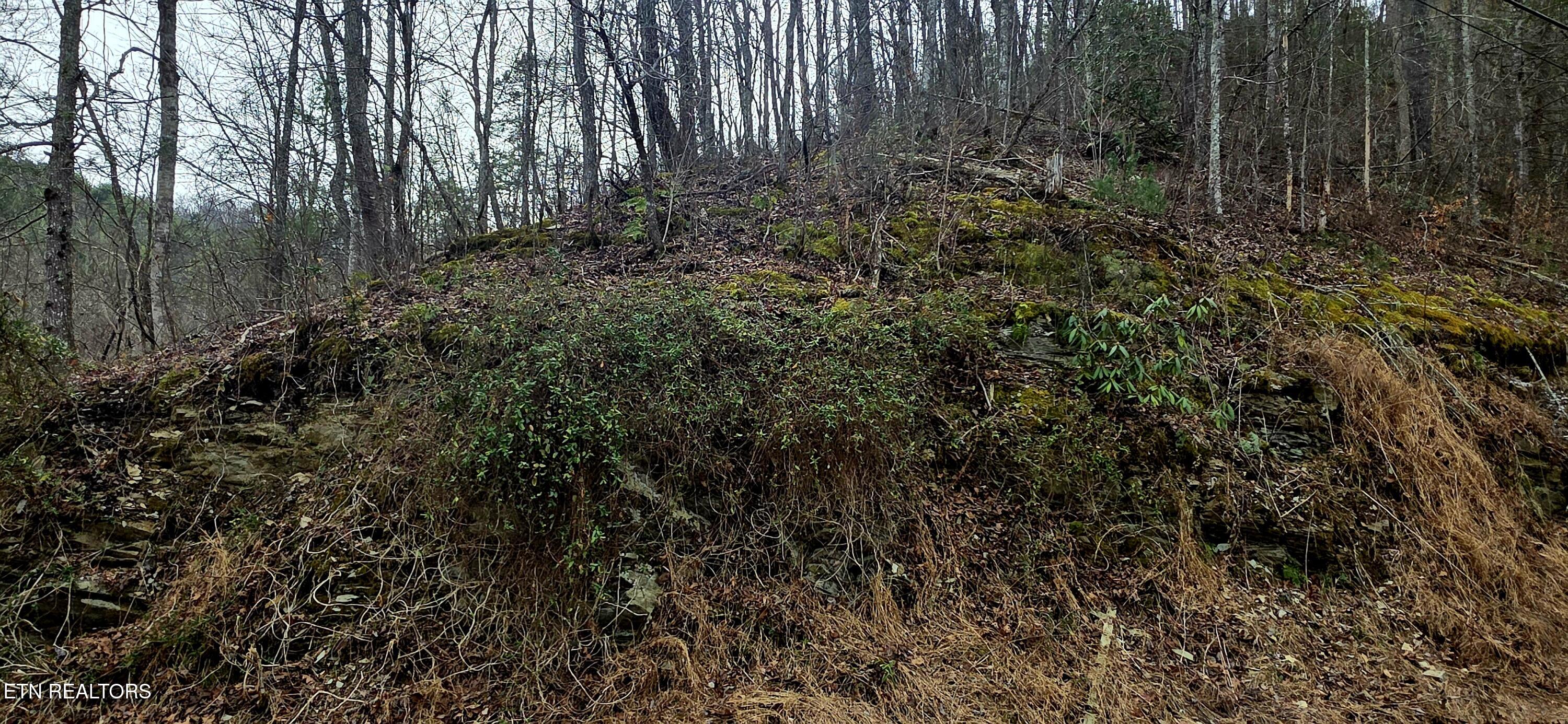 Lot 0006 Wildcat Ridge Road Sevierville TN 37862