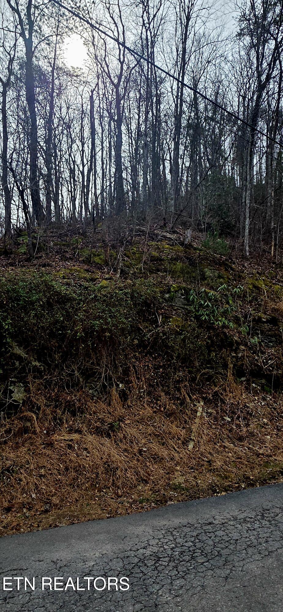 Lot 0006 Wildcat Ridge Road Sevierville TN 37862
