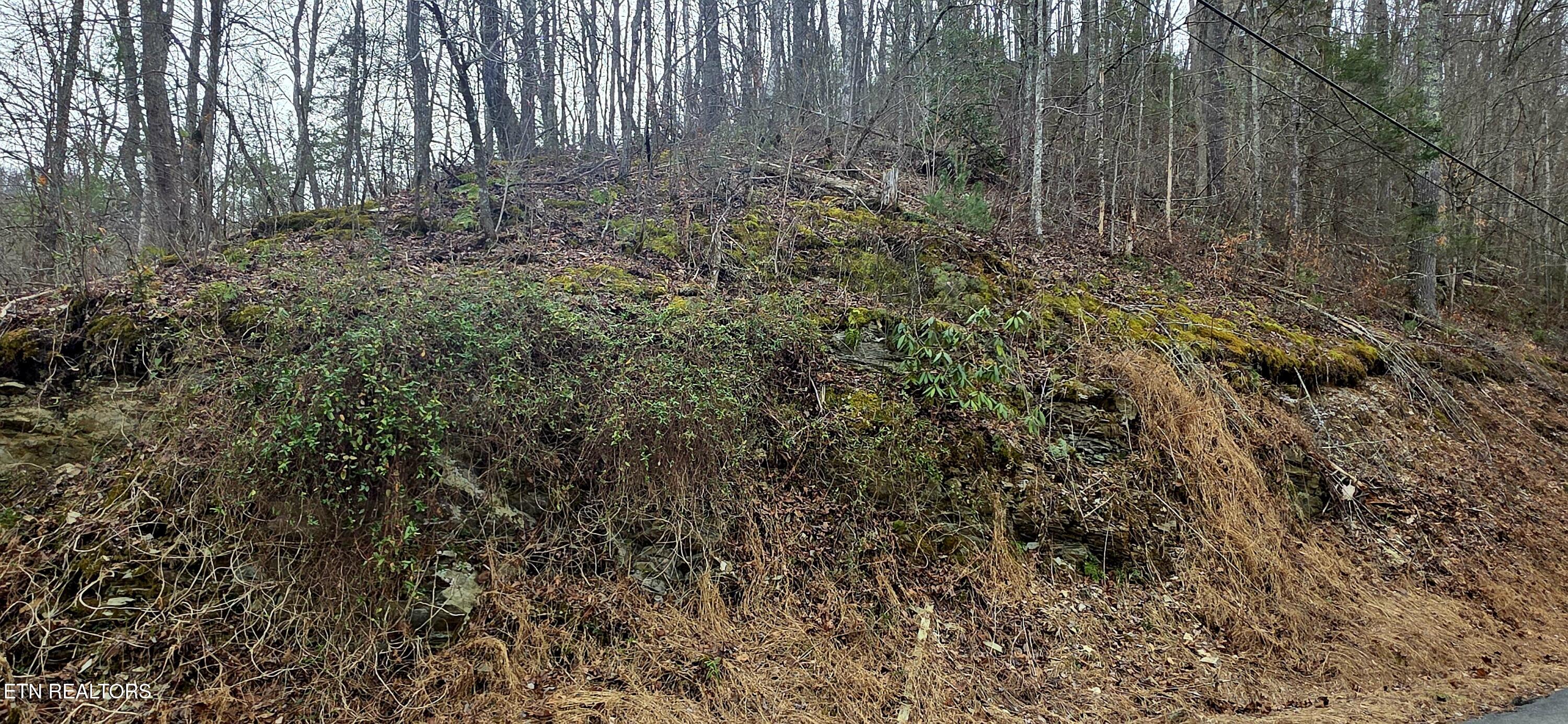 Lot 0006 Wildcat Ridge Road Sevierville TN 37862