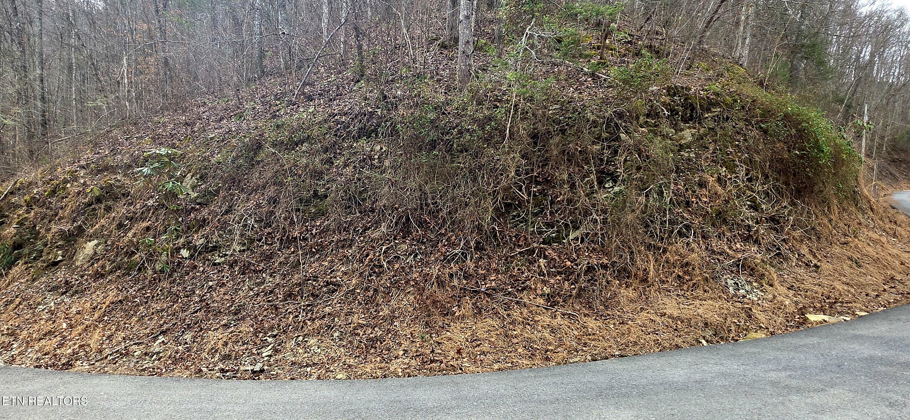 Lot 0006 Wildcat Ridge Road Sevierville TN 37862