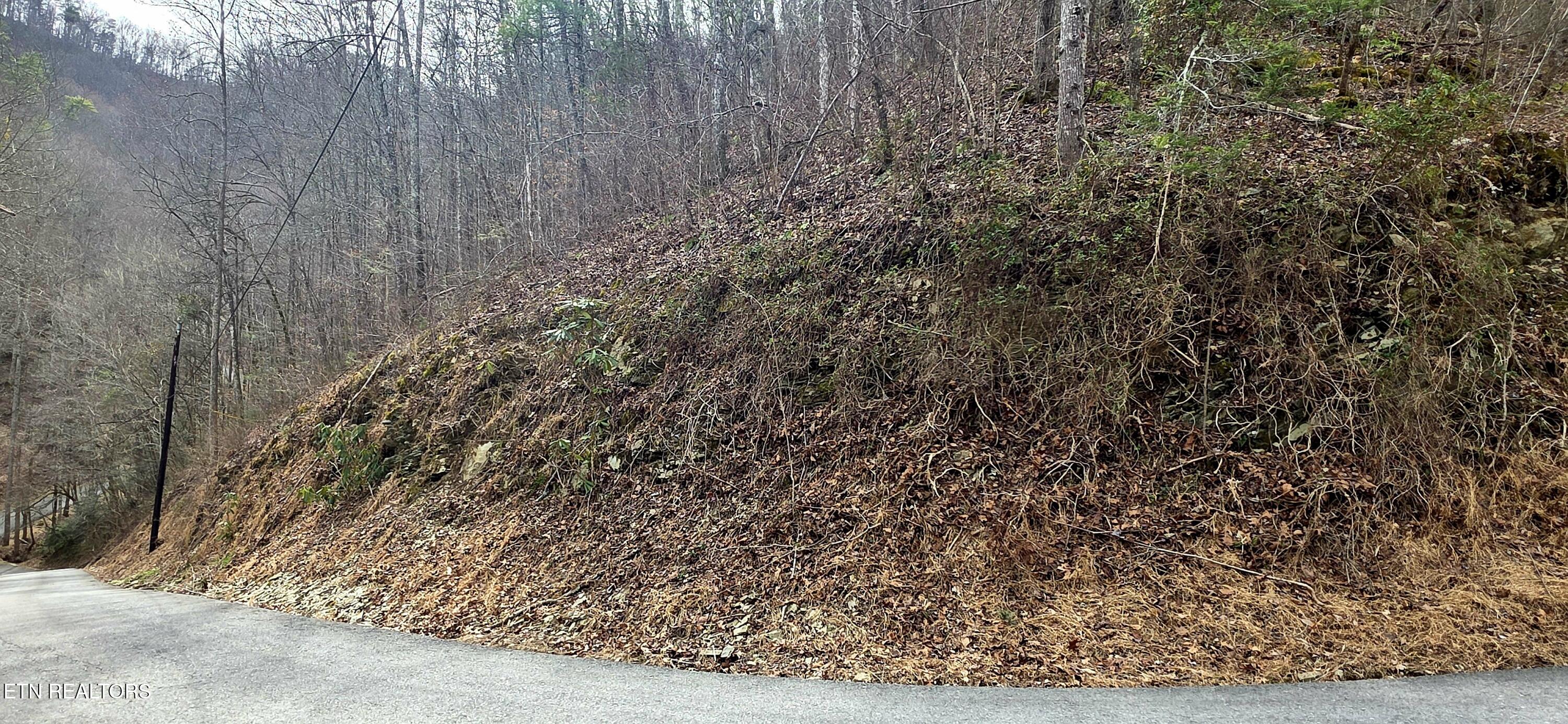 Lot 0006 Wildcat Ridge Road Sevierville TN 37862