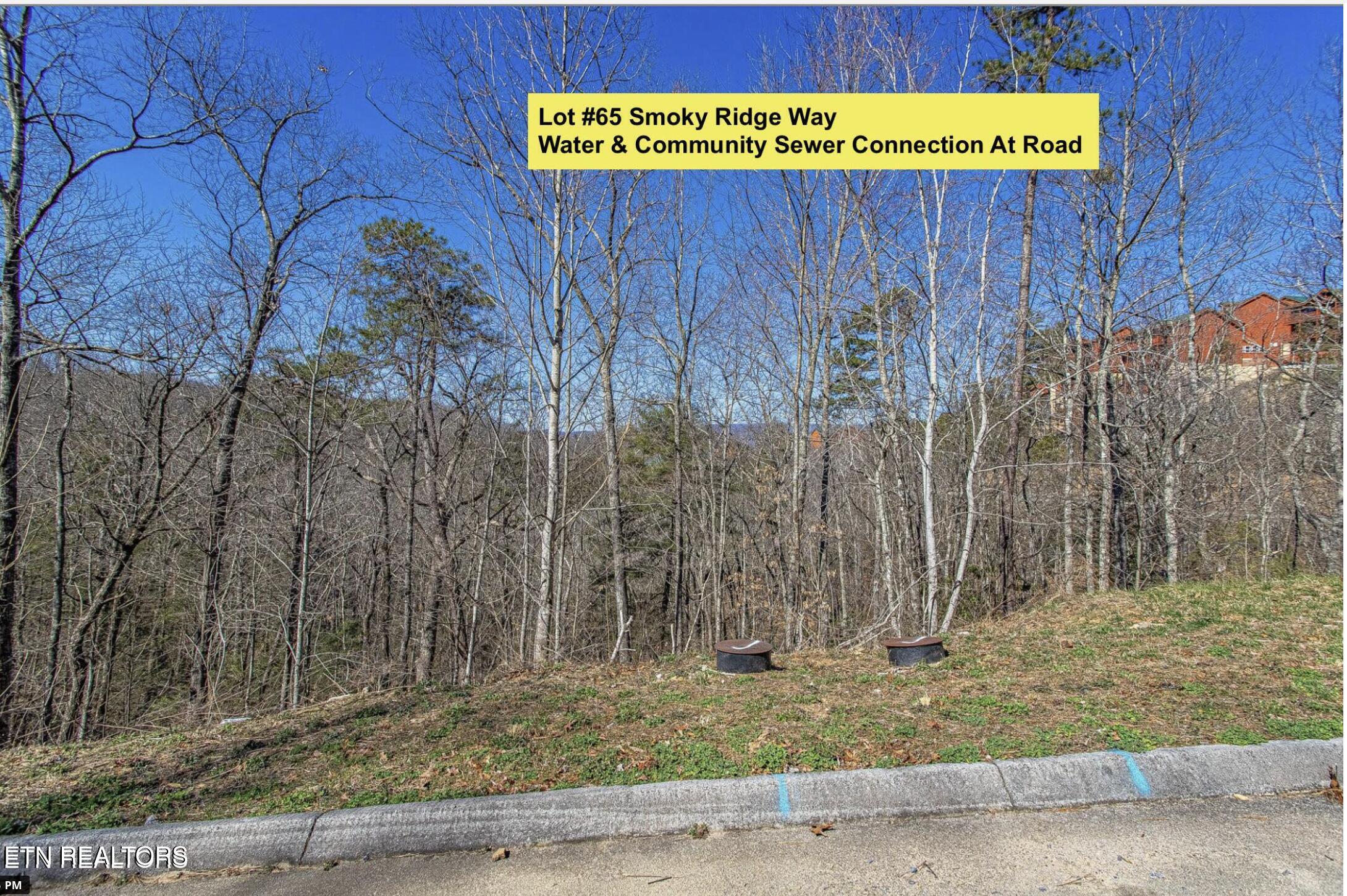 Lot # 65 Smoky Ridge Way Sevierville TN 37862